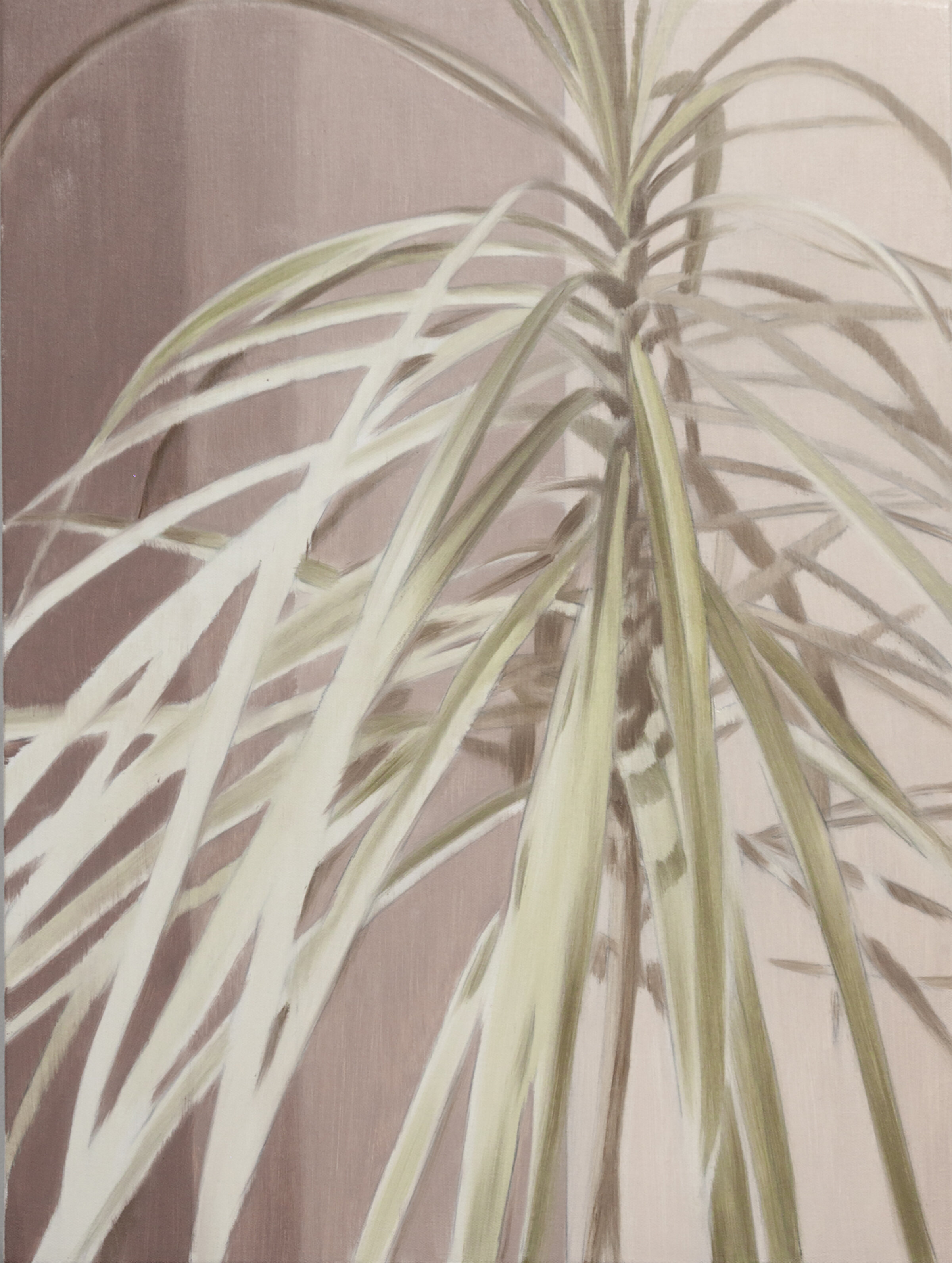   House Plant (colour)   2018 oil on canvas on panel 24 x 18 inches 