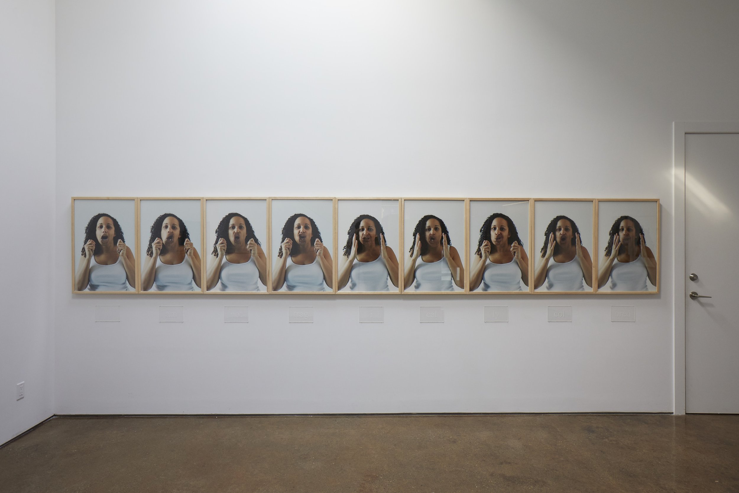   I am not tragically colored (After Zora Neale Hurston),  2013-2014 nine archival inkjet prints, etched Plexiglas edition of 5 30 x 20 inches each; 5 x 8 inches each   