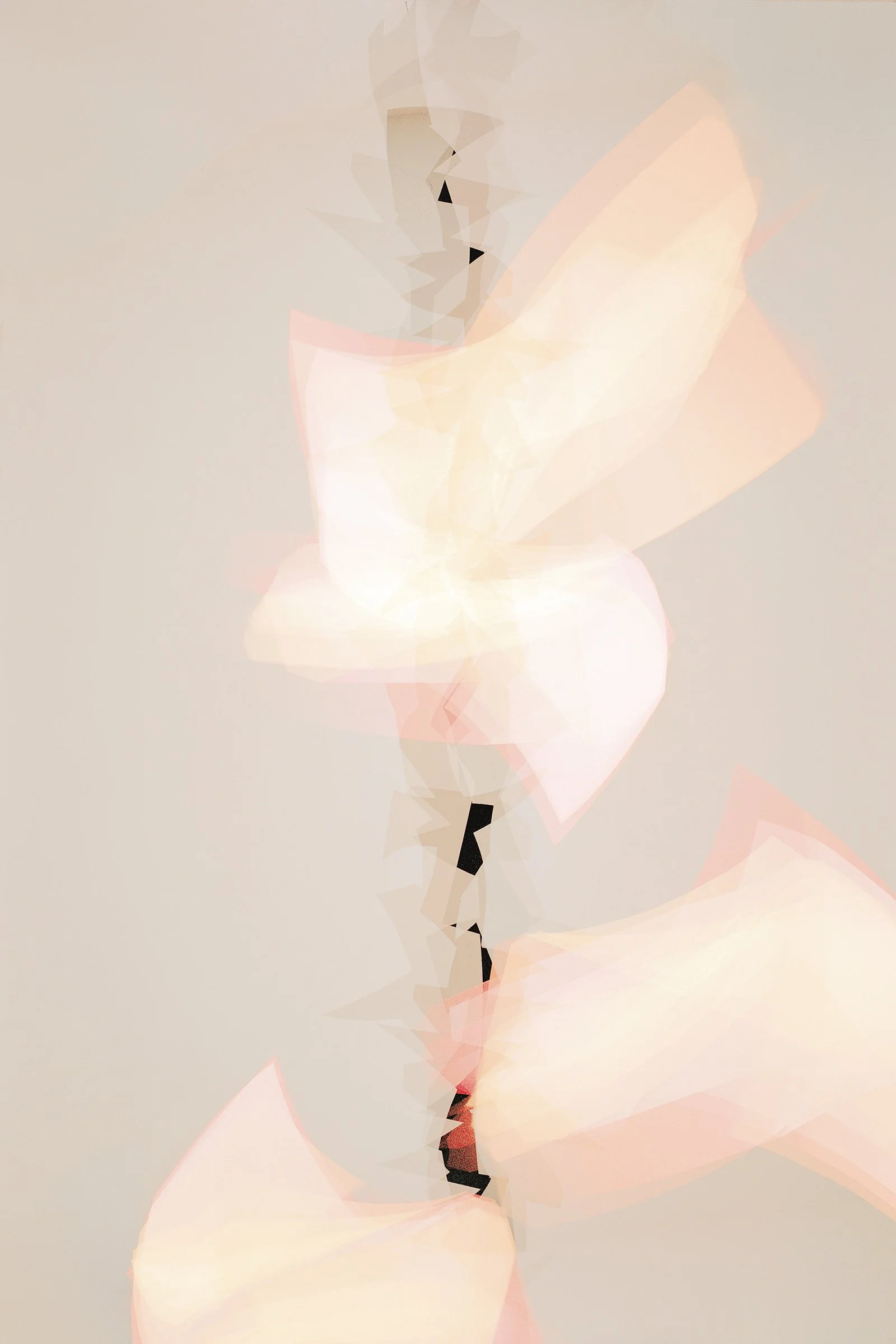   Blush  2026 archival pigment print edition of 3 55 × 36 inches | 139.7 × 91.4cm 