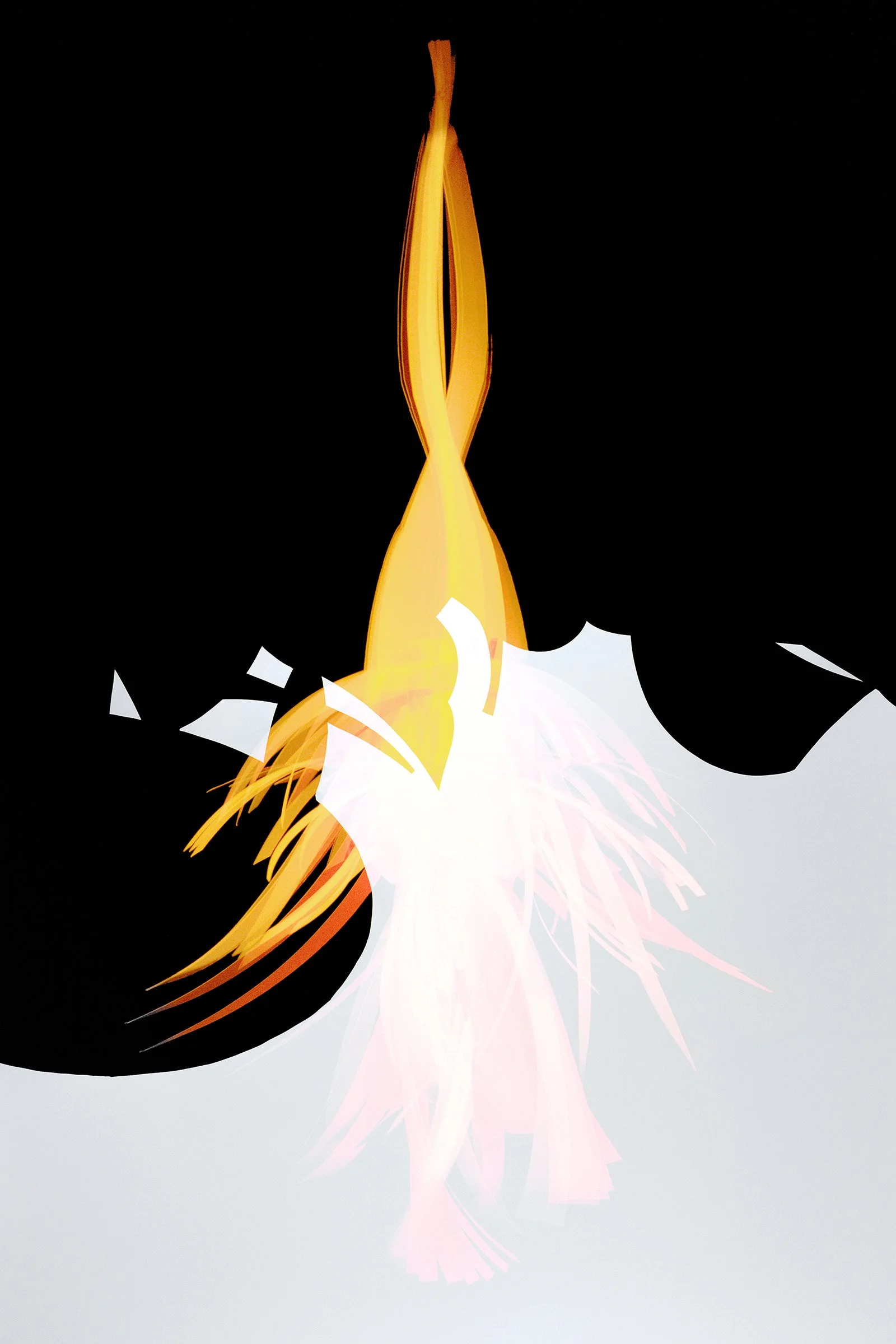   Blaze  2026 archival pigment print edition of 3 55 × 36 inches | 139.7 × 91.4cm 