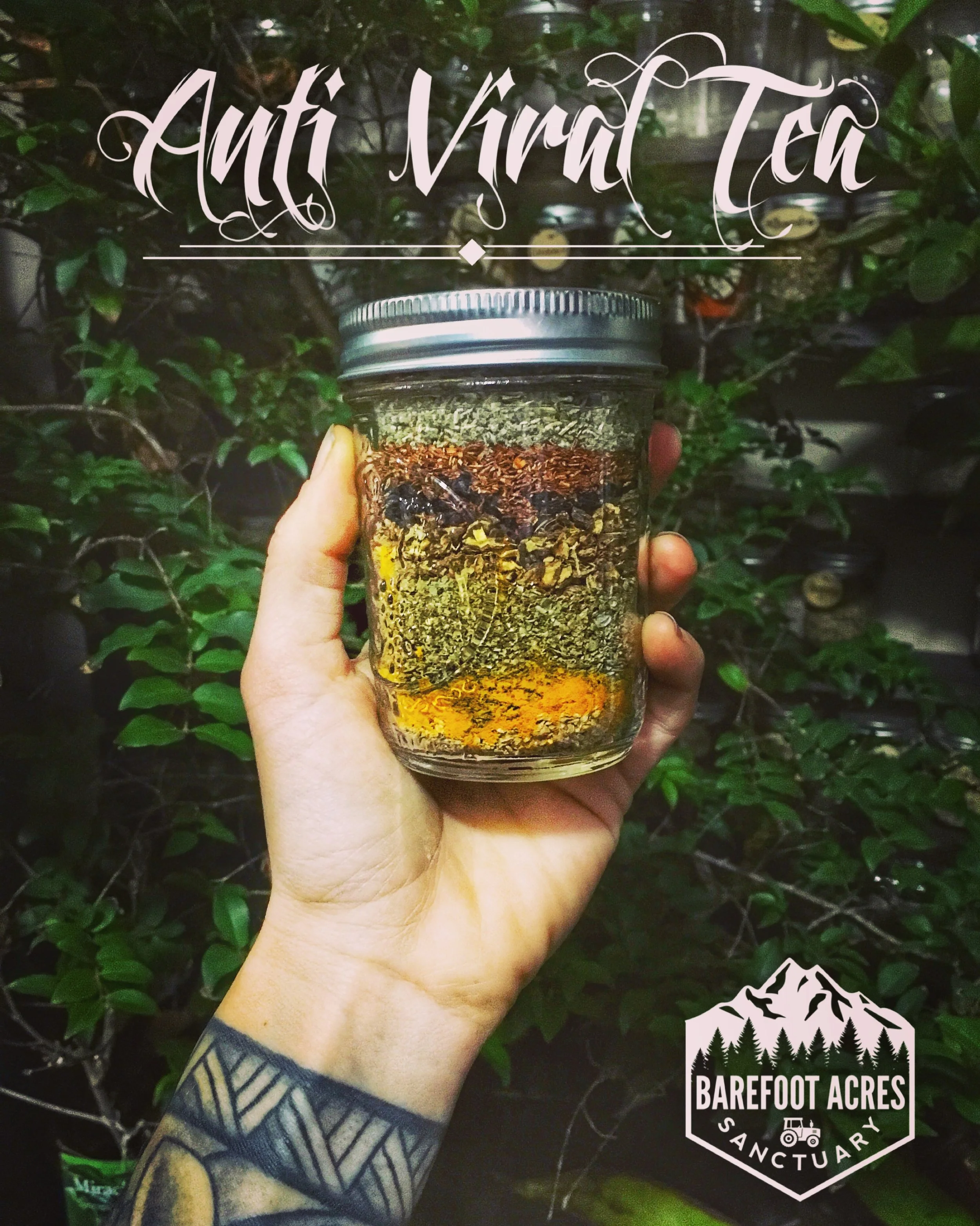 Organic Anti-Viral Tea