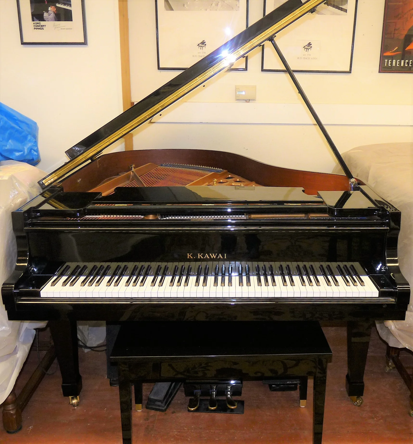 KAWAI,  KG2D, 5’10” Professional Grand 