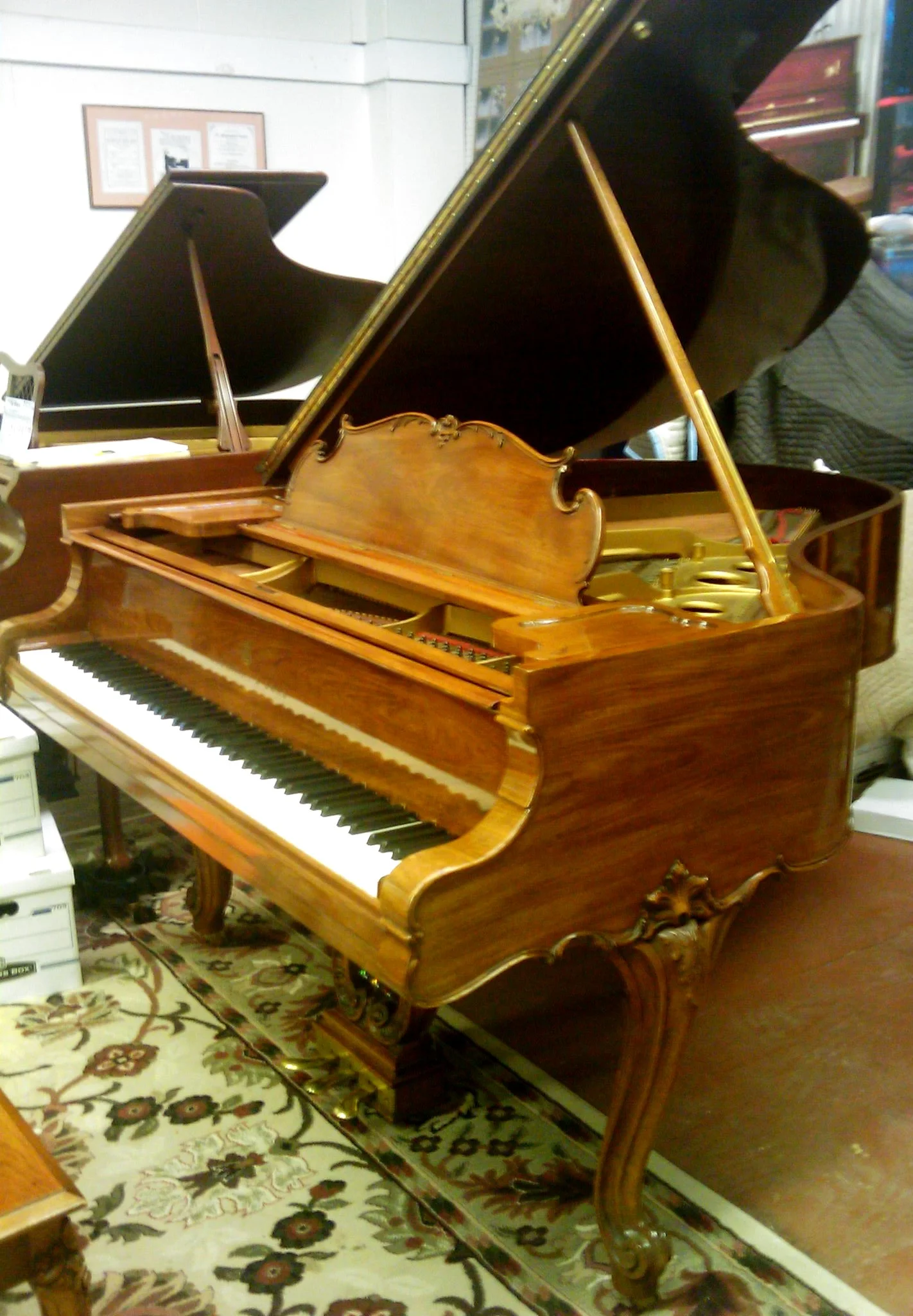 Treble Side view _Louis XV.jpg