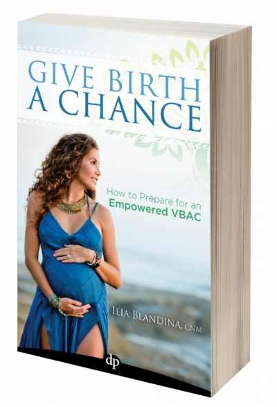 GiveBirthChance_3D-Book.jpg