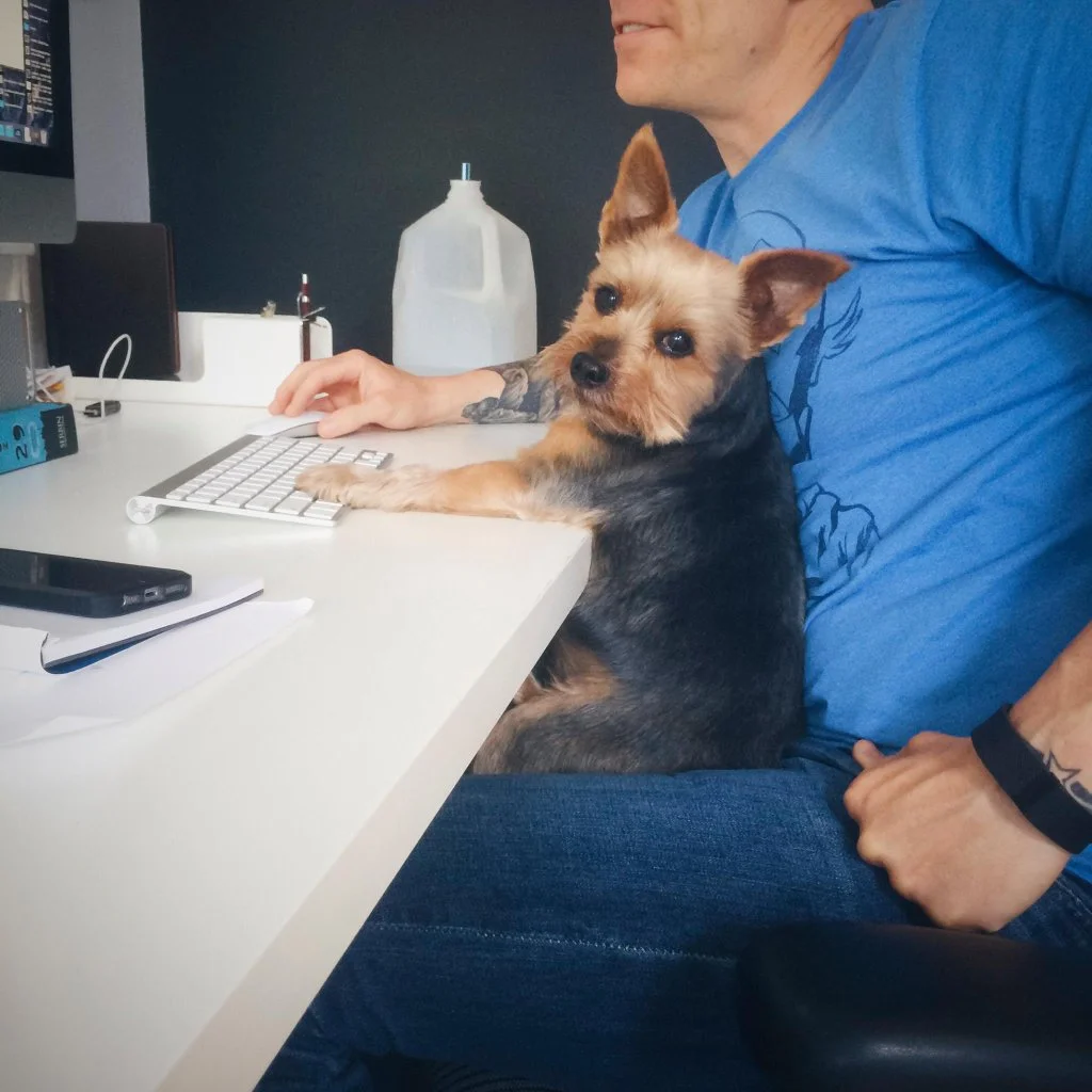 Mighty Arsenal Has A New Digital Home 