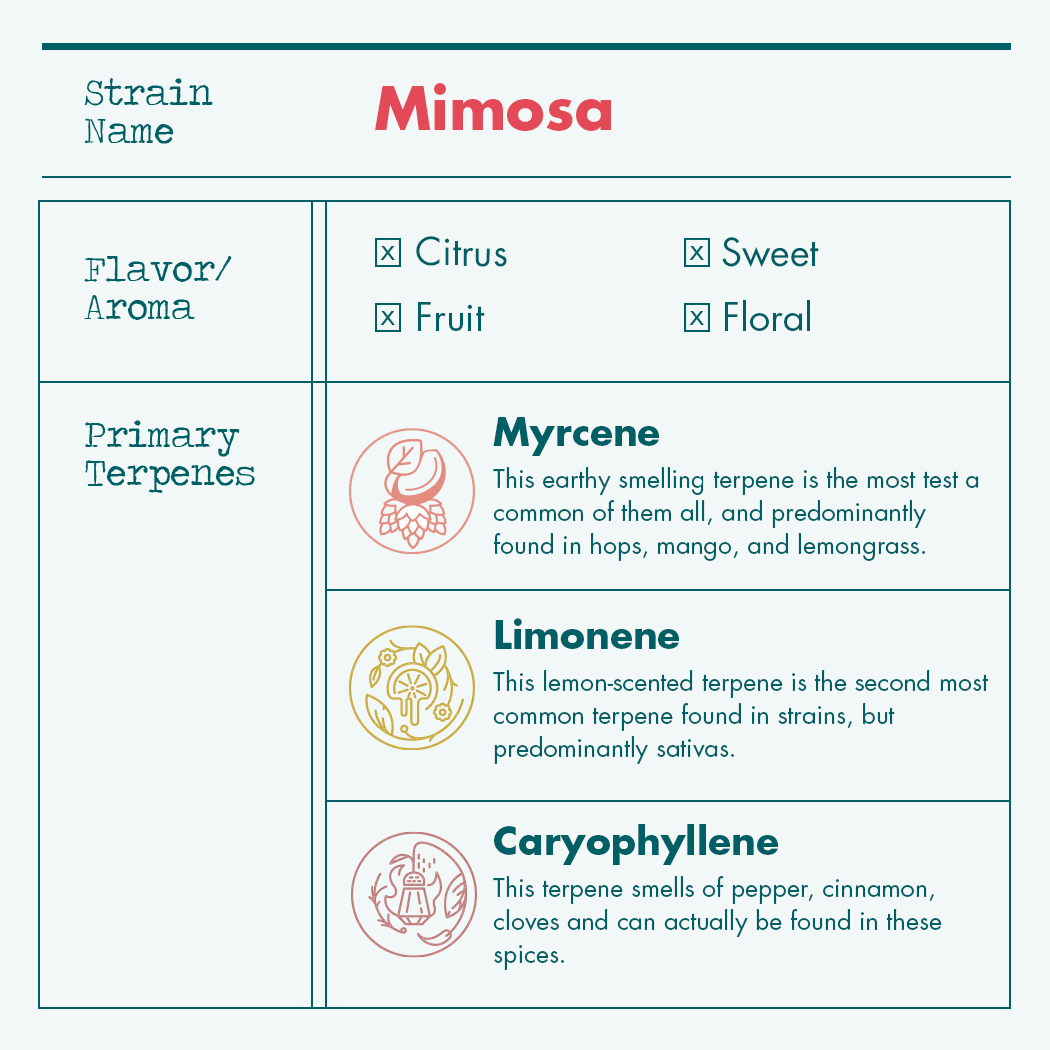 HF_Terpene_Profile_Mimosa.png