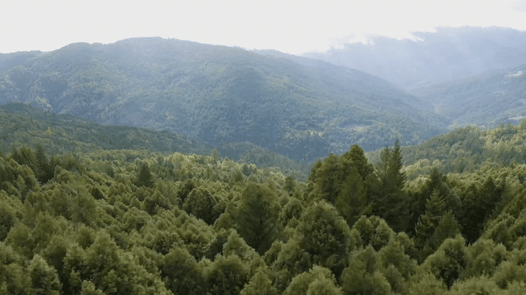 HF_Website_Farm_NoMark-high.gif