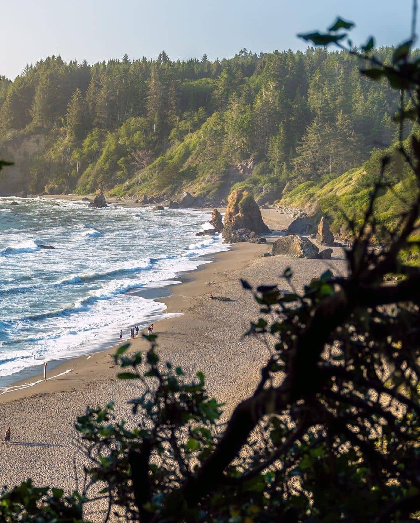 Humboldt 🧡

Posted @withregram &bull; @humboldtcountyofficial The ocean here has something magical about it, some try to define it but it can't really be quantified. Amazing post by 📸 @junni.jpg 
.
.
.
.
.
.
.
.
.
.
.

.
.
..
.
.
.
..
.
.
#pacifico