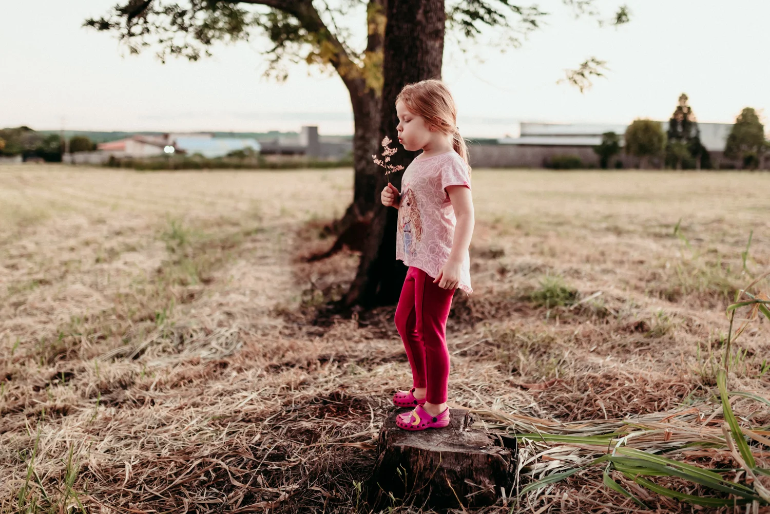 PATRICIAPULIDOPHOTO_fotografadefamilia25.jpg