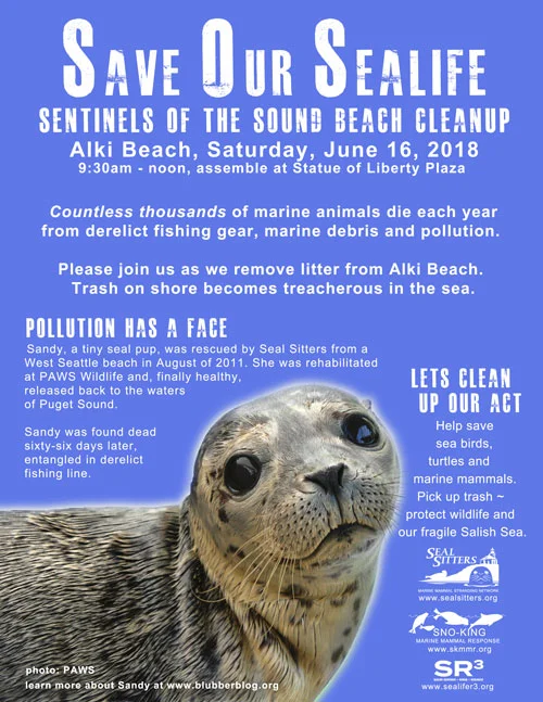 Alki Beach Cleanup 2018.jpg