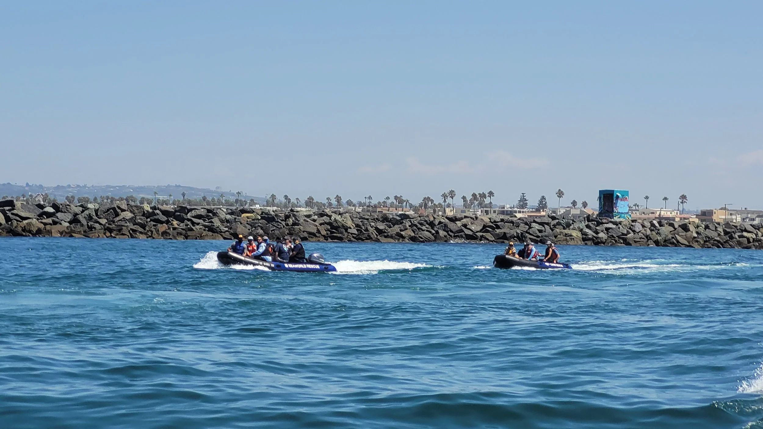 SR³ SeaLife Response, Rehabilitation, and Research