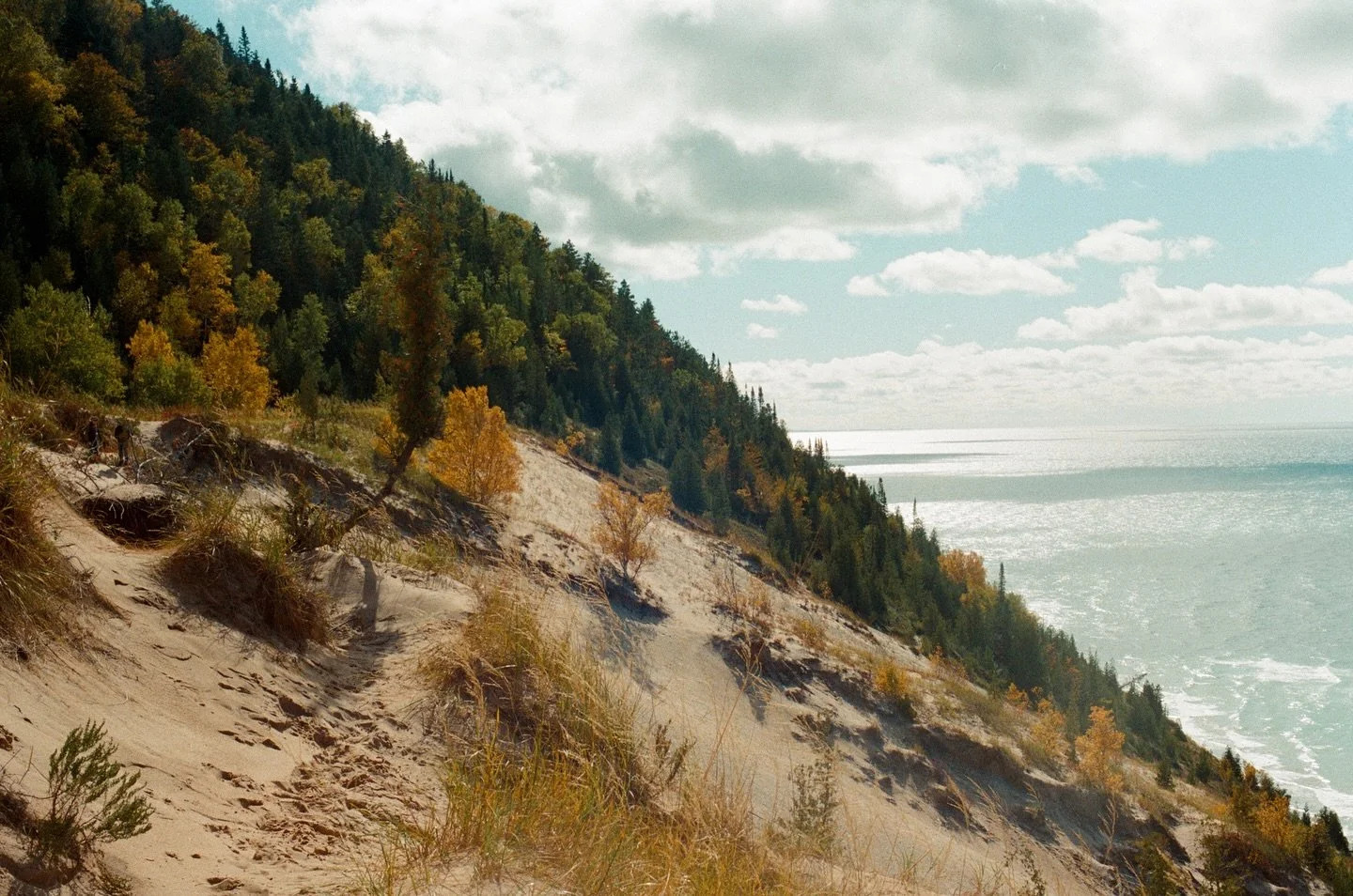 A lil playlist of fresh scans and finds from the old archive. We&rsquo;ll call it Fall (mostly) Mood.