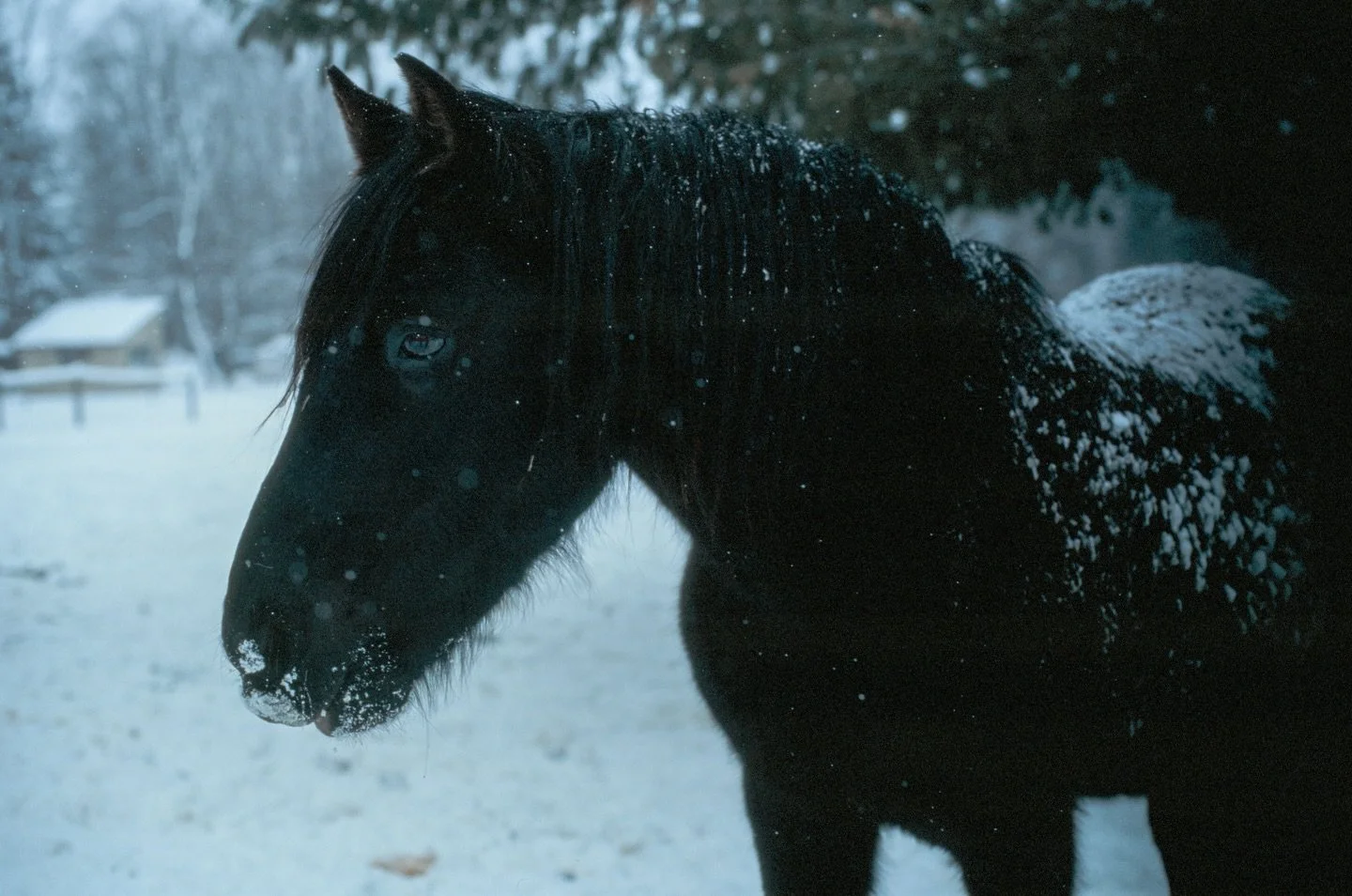 We&rsquo;re in Michigan&rsquo;s longest nights, for another week before the light starts pushing back in. &ldquo;After all, what have I to fear in this house? The devil may pass through it, but the good God dwells here.&rdquo; - Victor Hugo, Les M&ia
