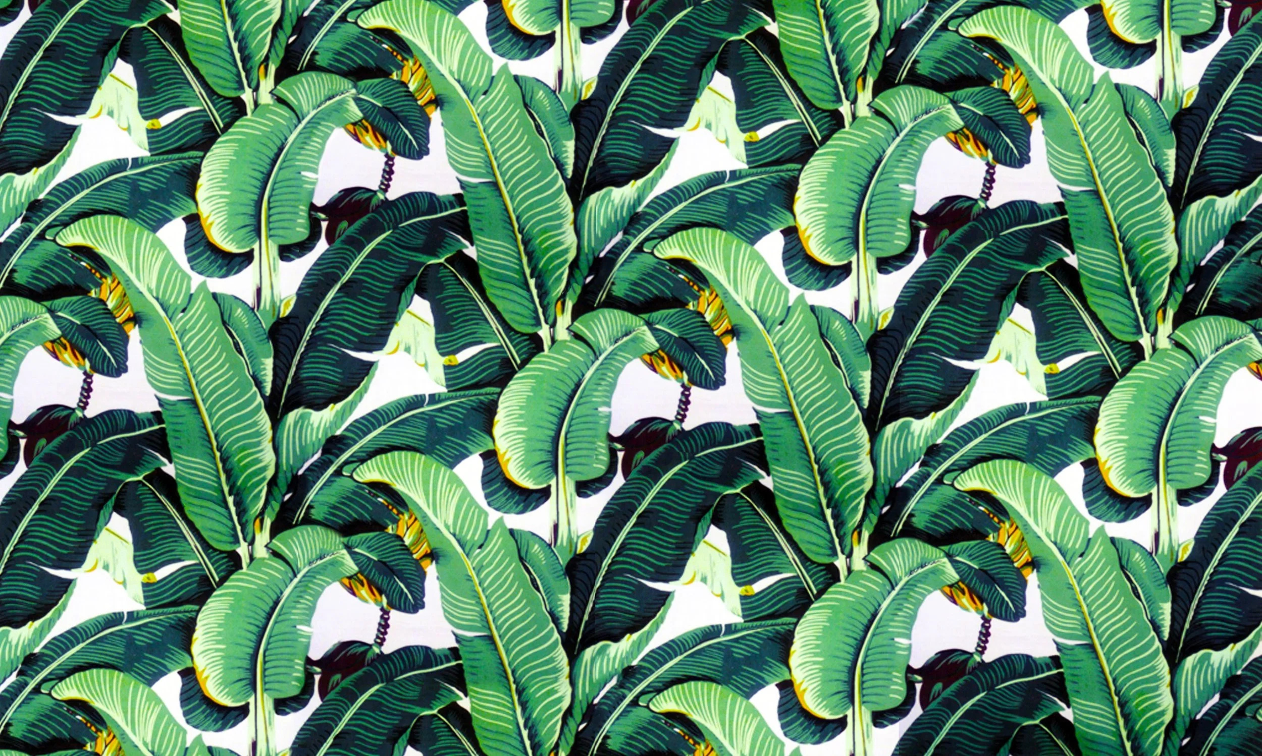 Banana-Leaf-Images-Free.jpg