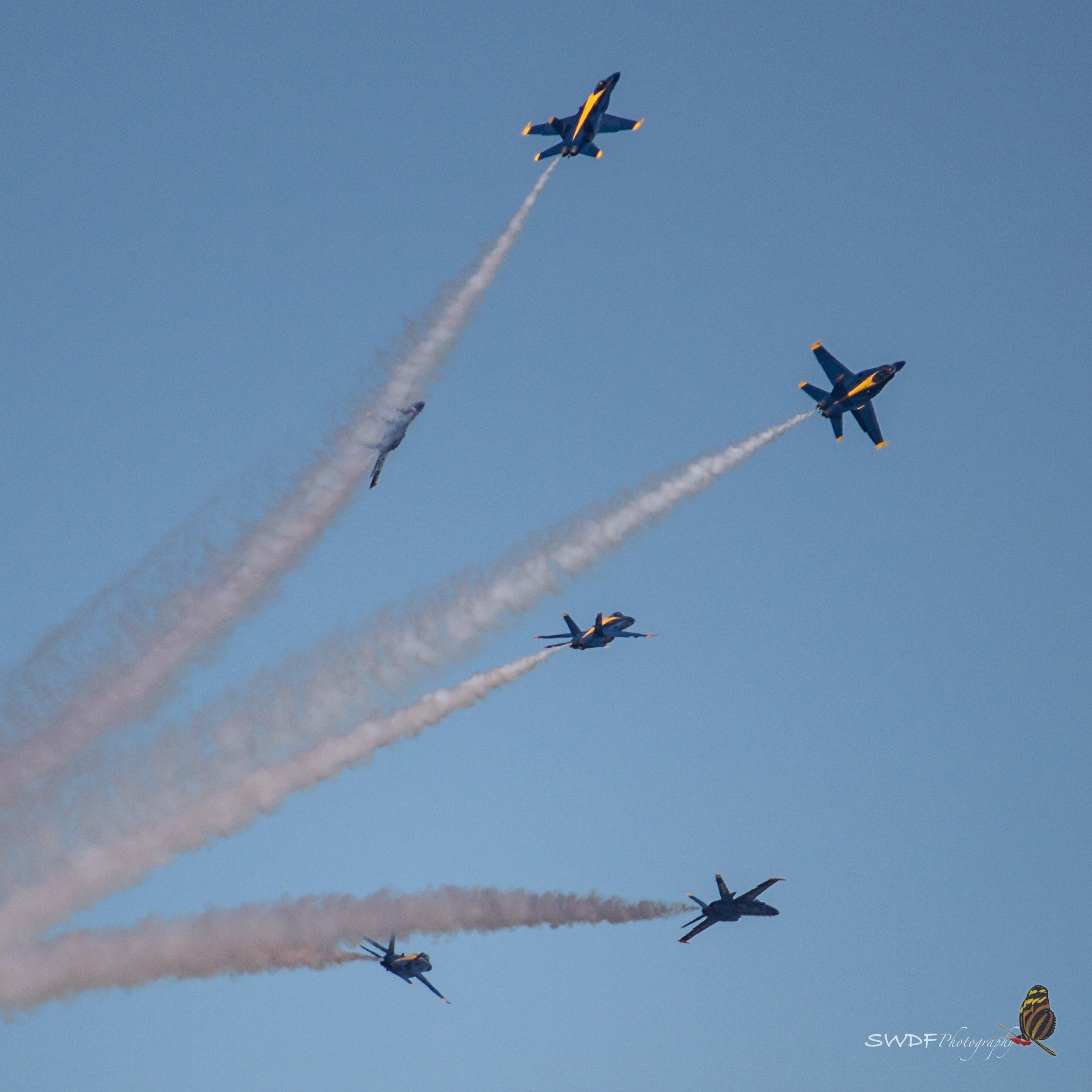 IMG_3917.JPG