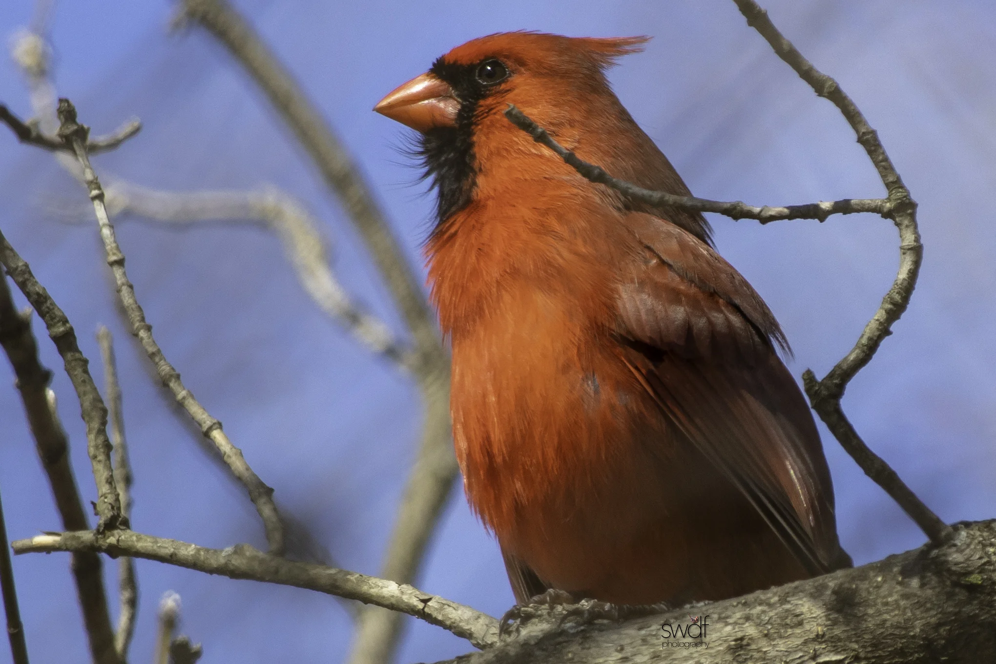 Benjamin Cardinal - CVNP.jpeg