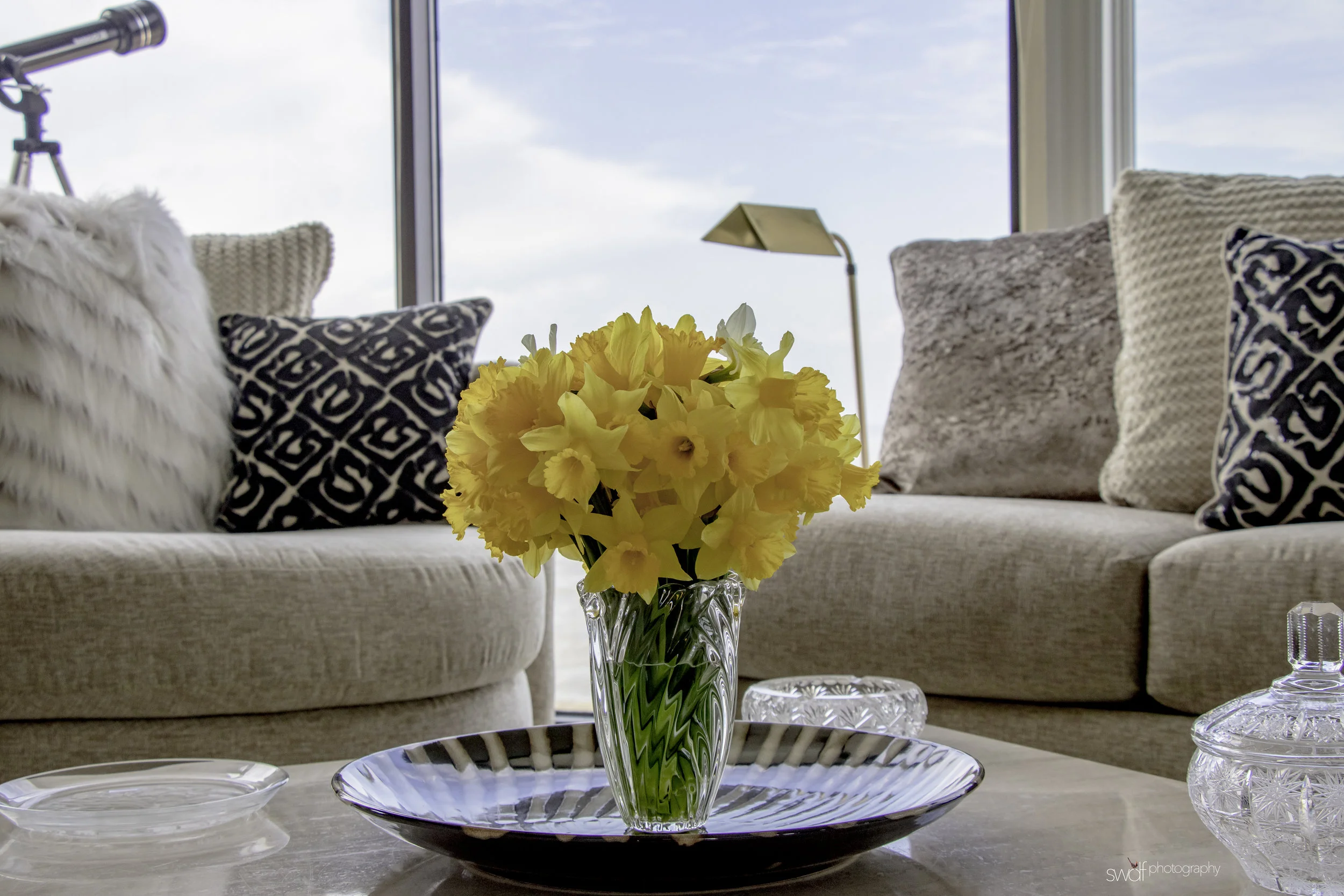 Robs Daffodils2.jpeg