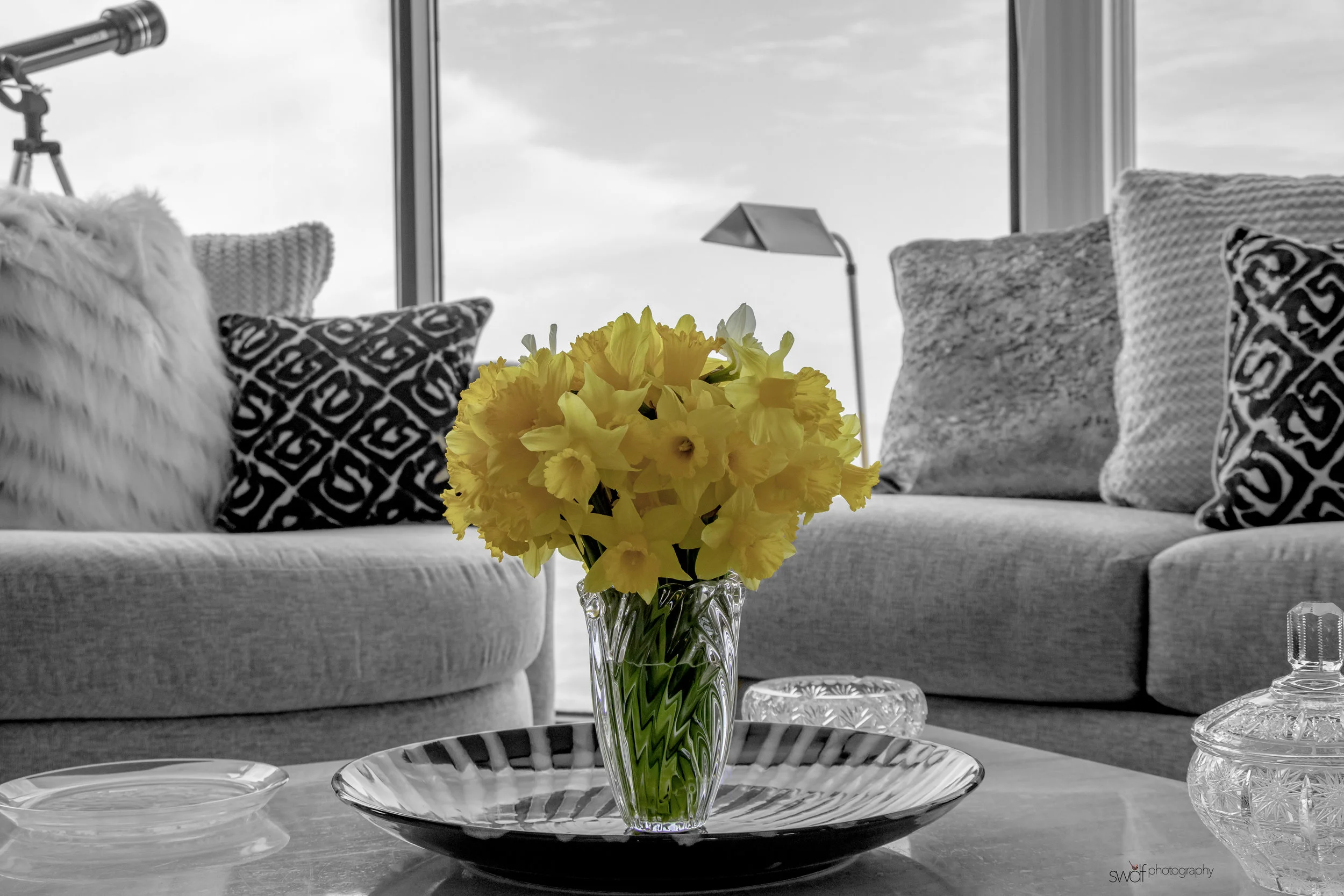 Robs Daffodils5.jpeg