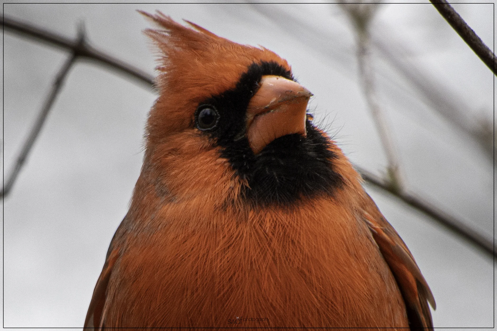 Benjamin - Sheldons Marsh.jpeg