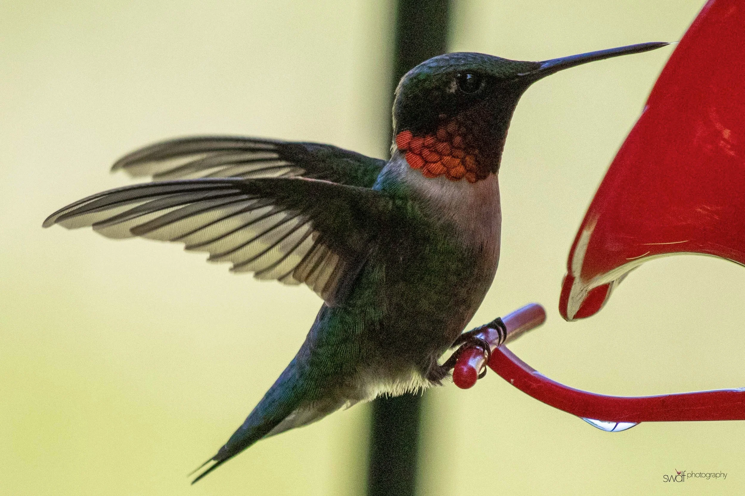 Image 6-11-19 at 20.43.jpeg