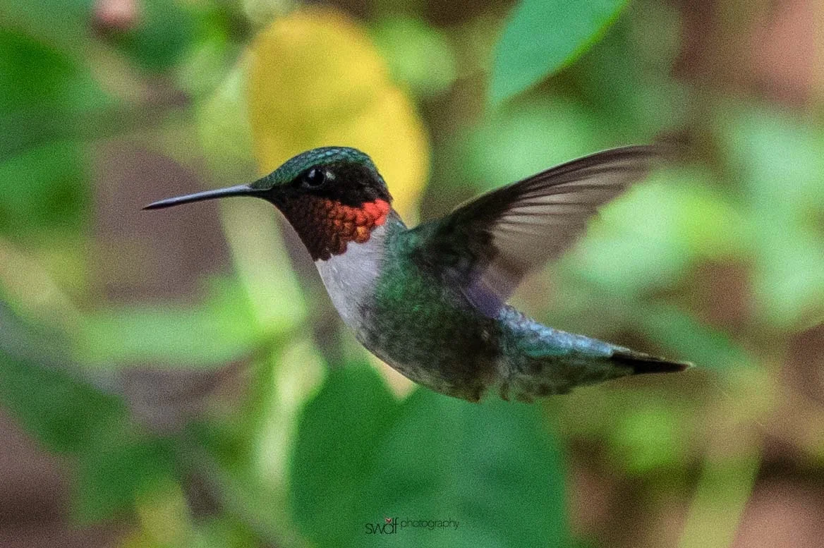 Image 6-12-19 at 19.57.jpeg