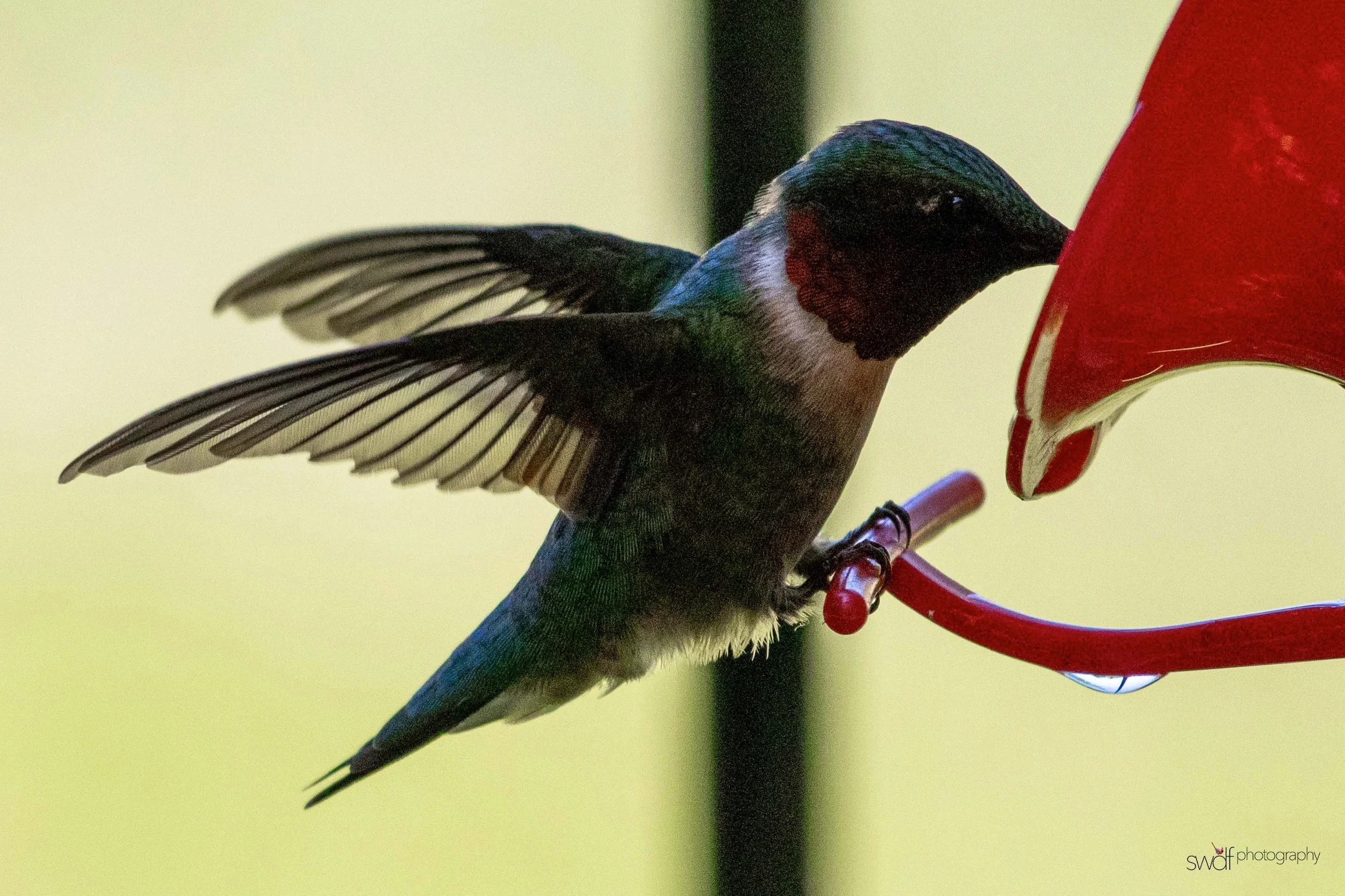 Image 6-11-19 at 20.46.jpeg