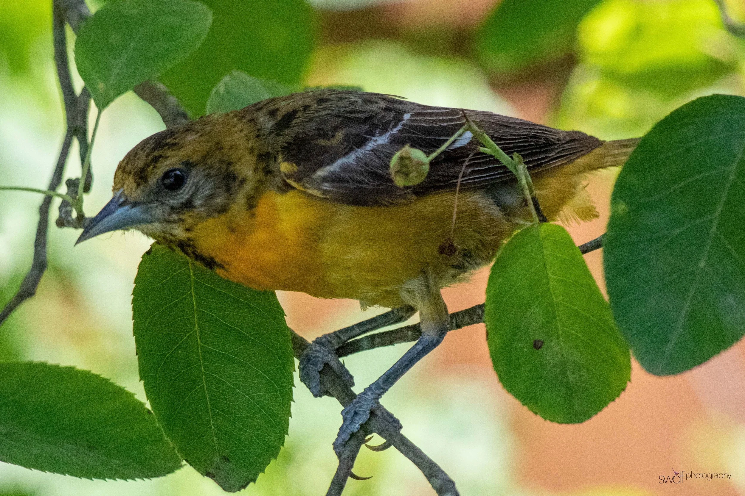 Image 6-11-19 at 20.49.jpeg