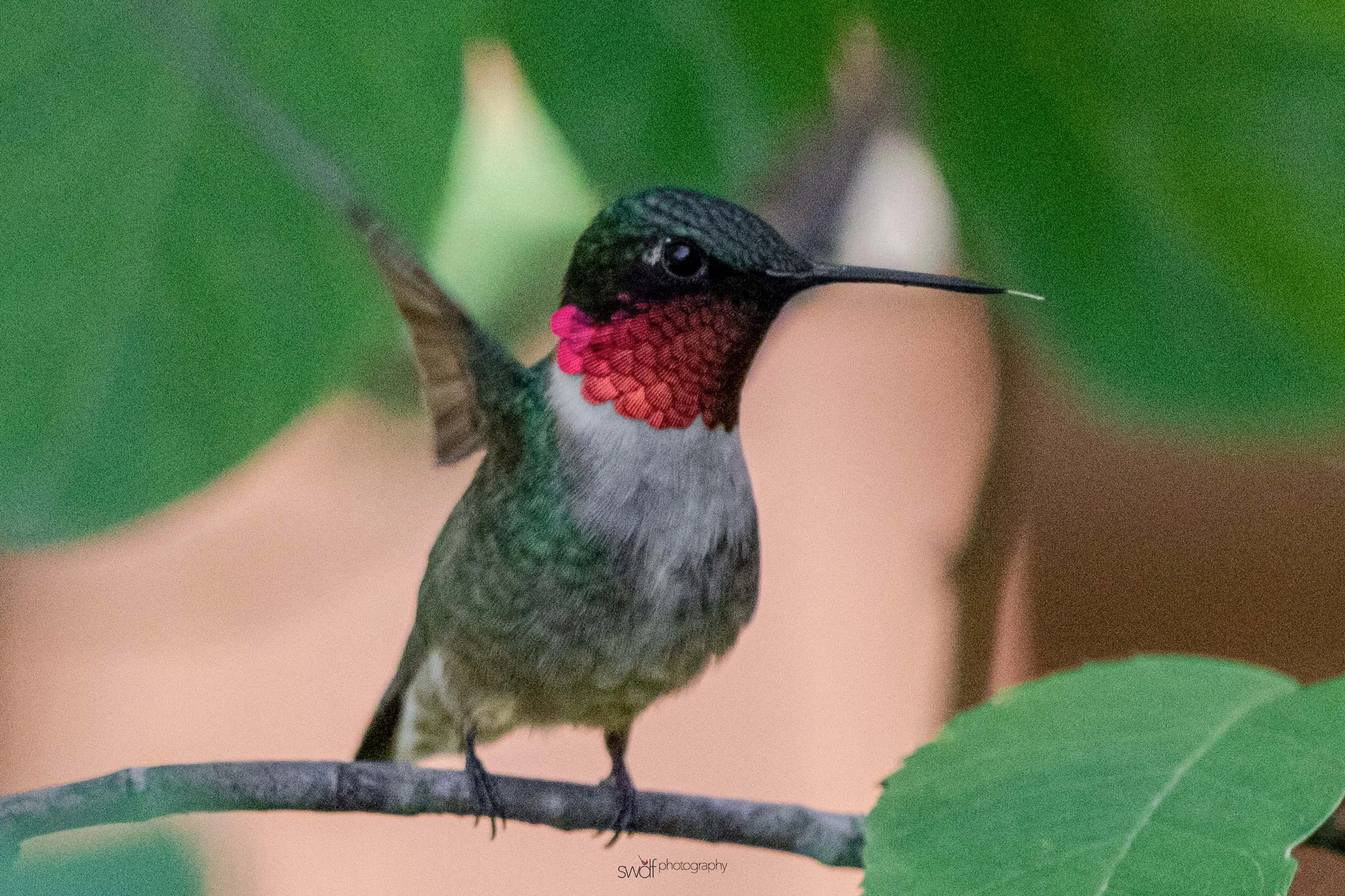 Image 6-11-19 at 20.05.jpeg