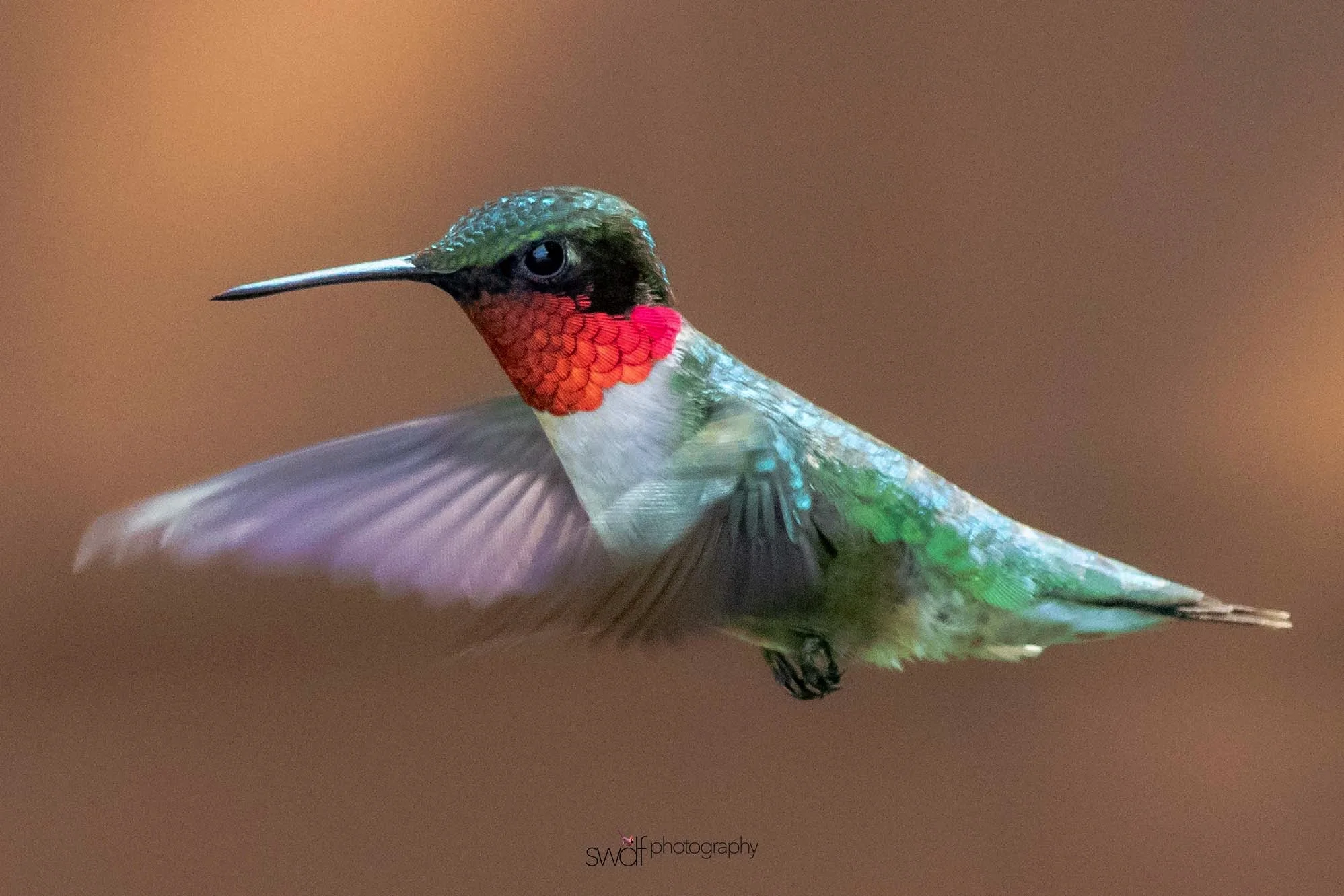 Image 6-7-19 at 21.00.jpeg