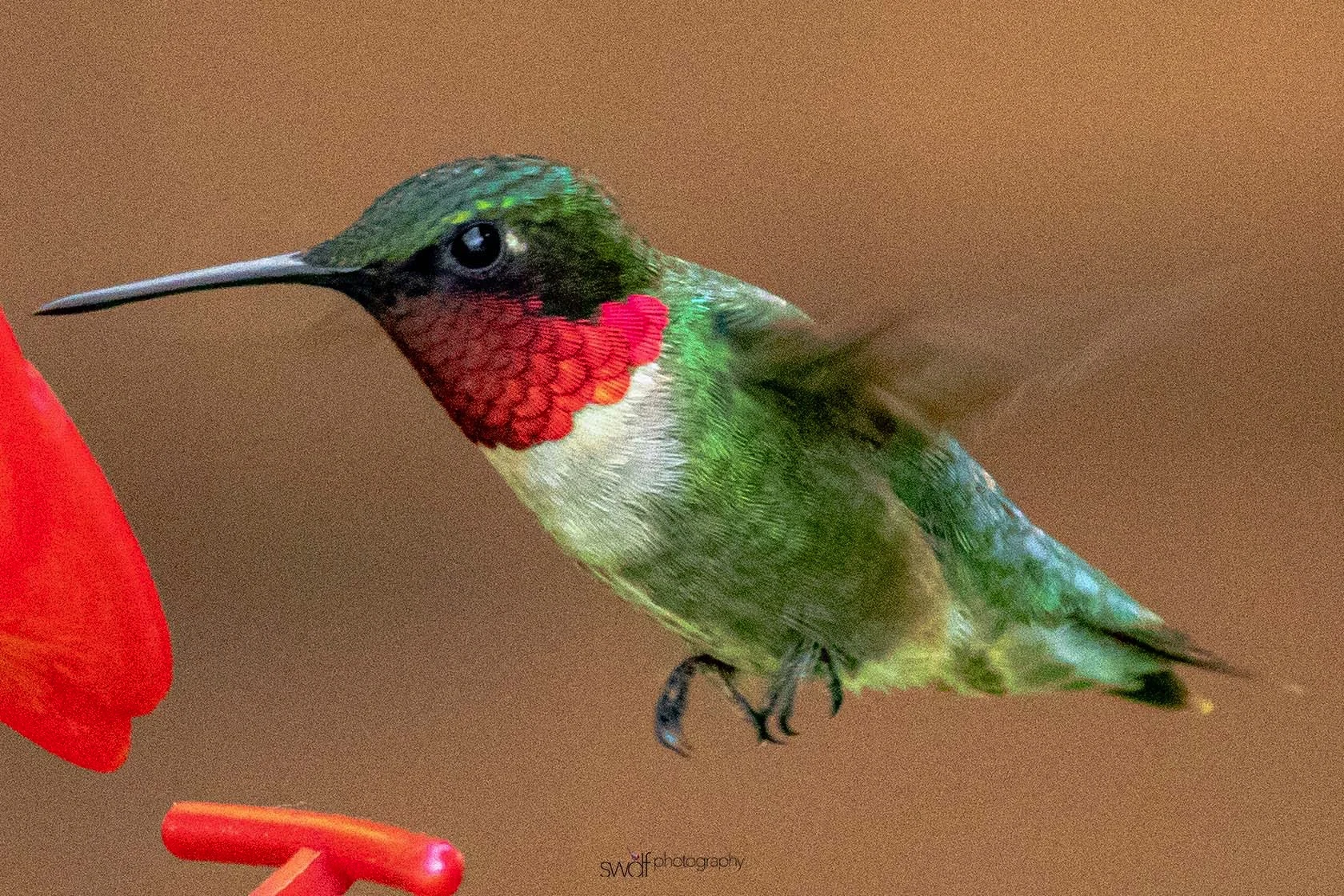 Image 6-7-19 at 21.55.jpeg