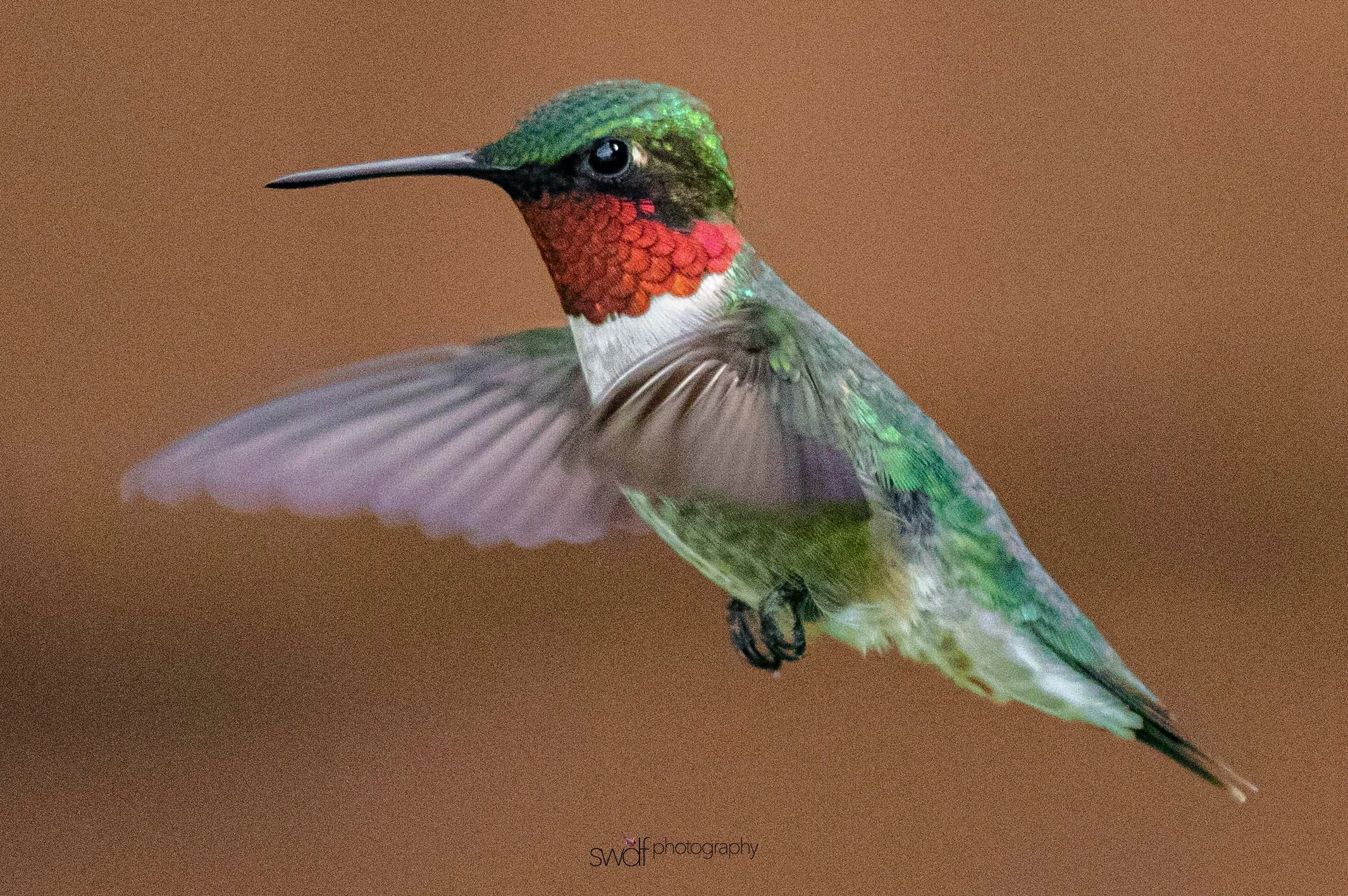 Image 6-7-19 at 21.56.jpeg