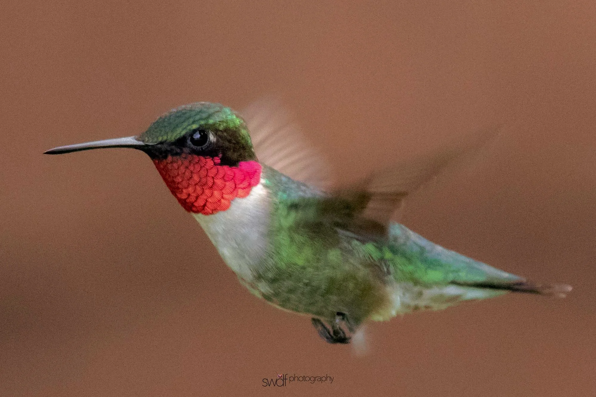 Image 6-7-19 at 21.57.jpeg