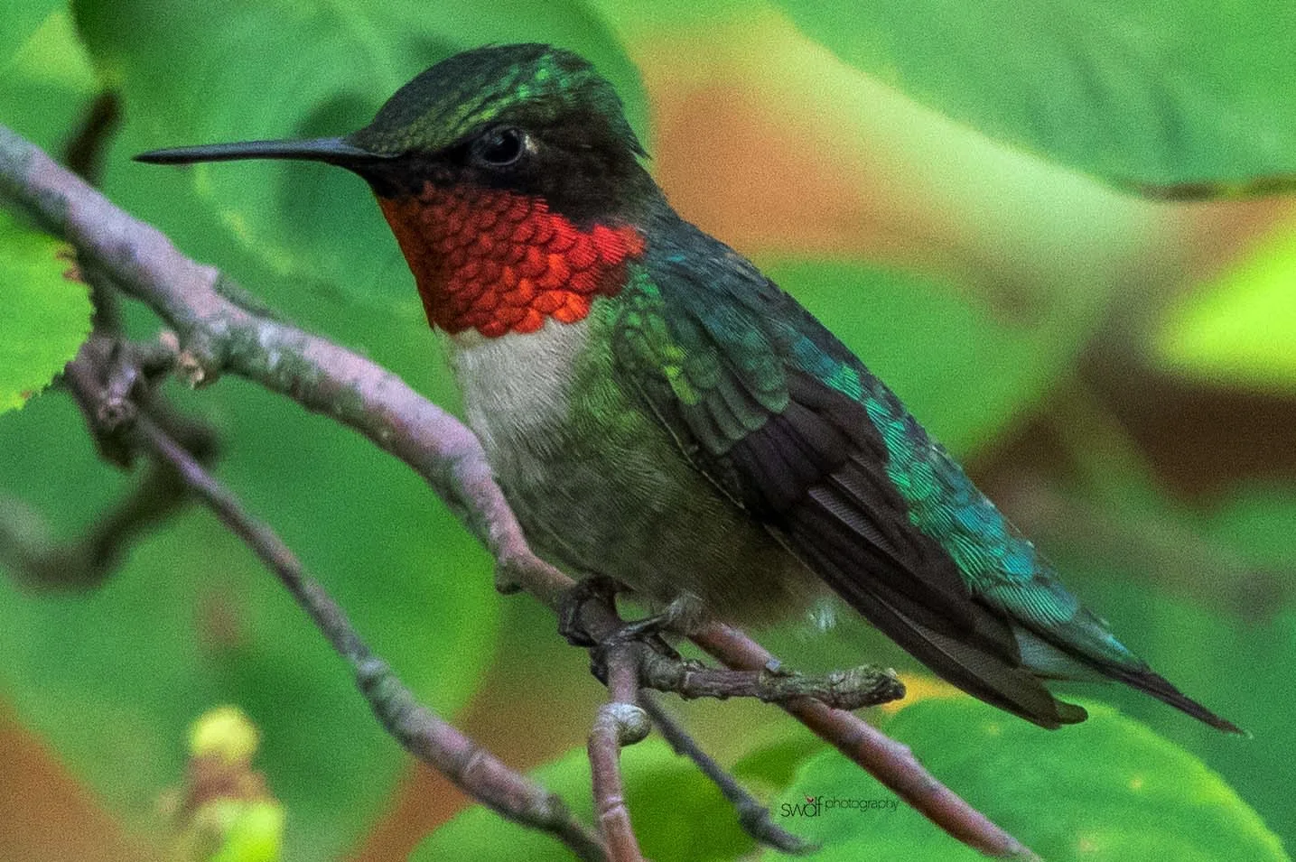 Image 6-7-19 at 19.25.jpeg