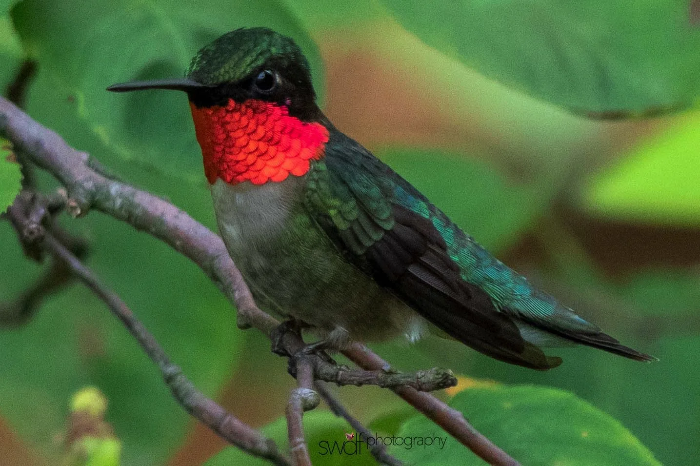 Image 6-7-19 at 19.28.jpeg