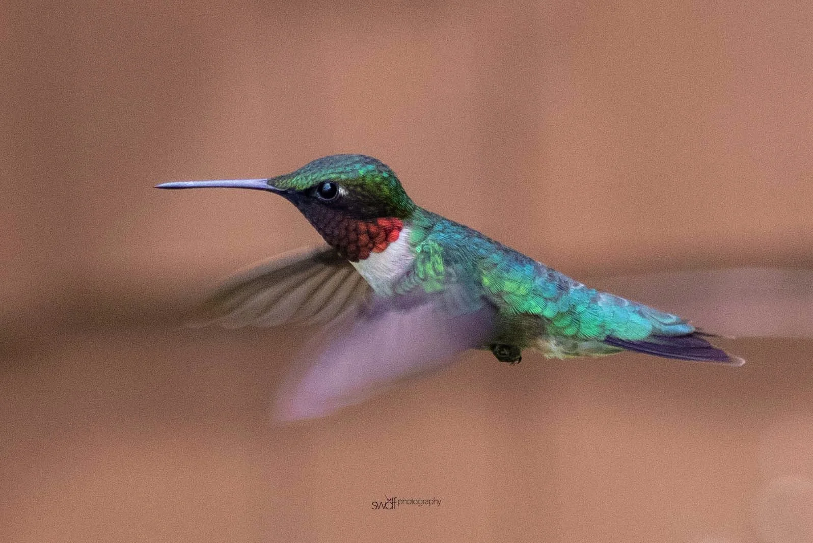 Image 6-12-19 at 23.08.jpeg