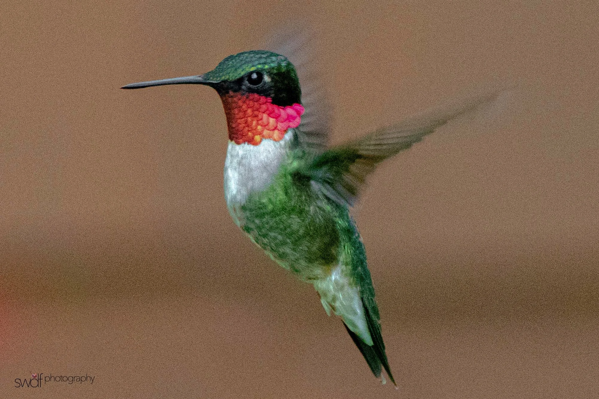 Image 6-6-19 at 22.20.jpeg