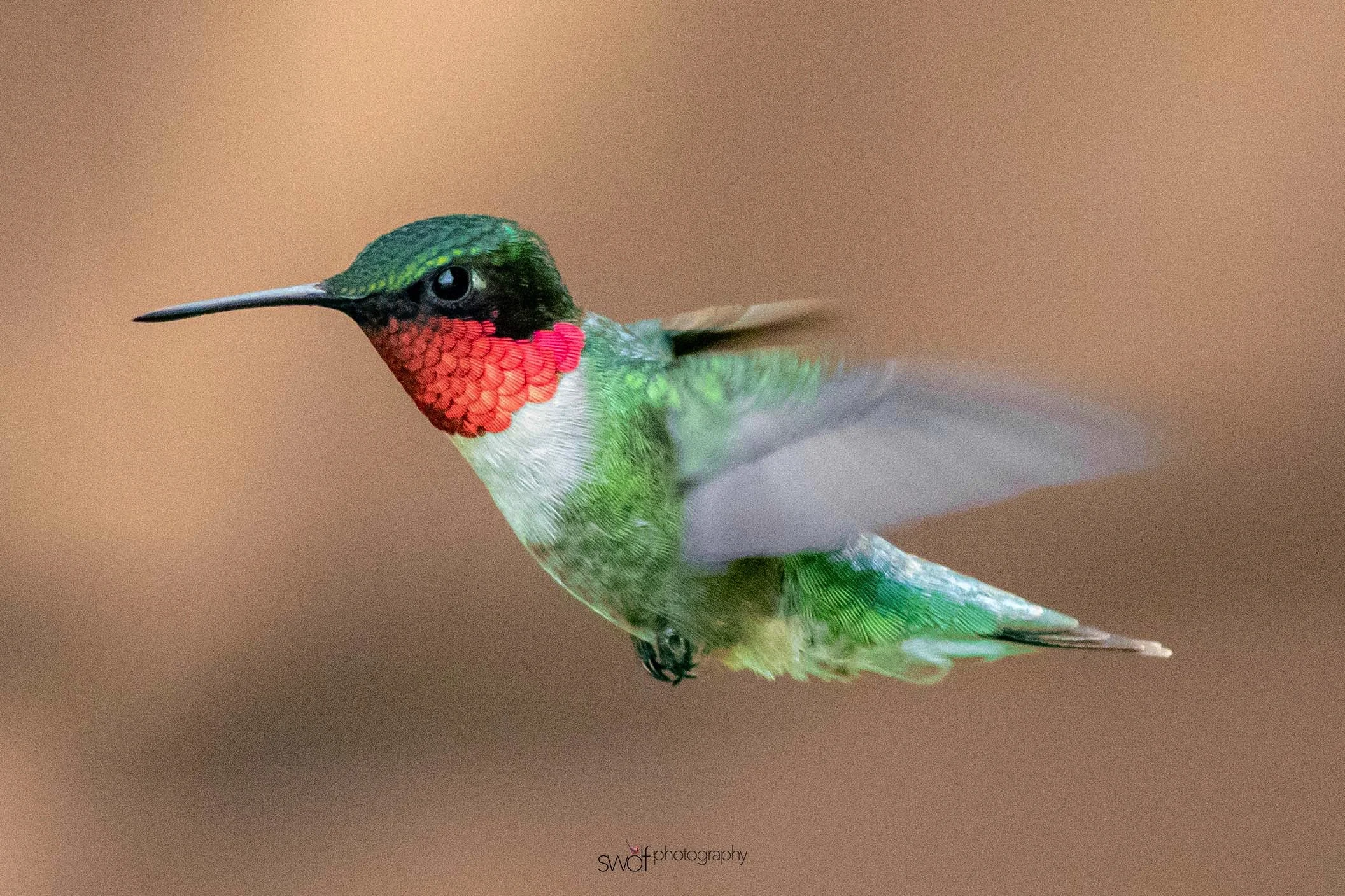 Image 6-7-19 at 20.41.jpeg