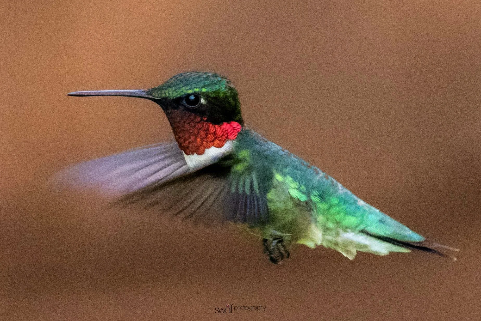 Image 6-7-19 at 20.46.jpeg