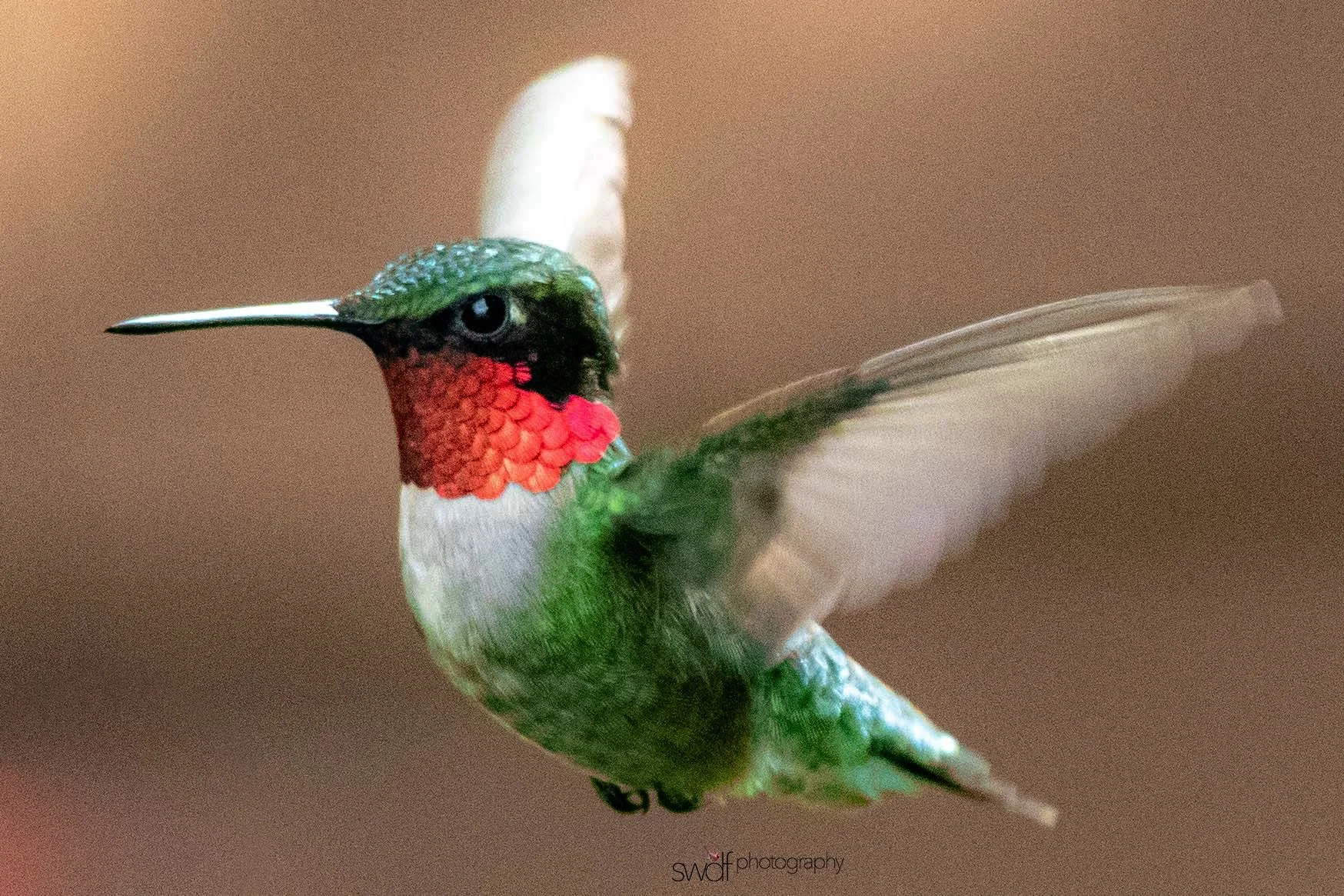 Image 6-7-19 at 20.52.jpeg