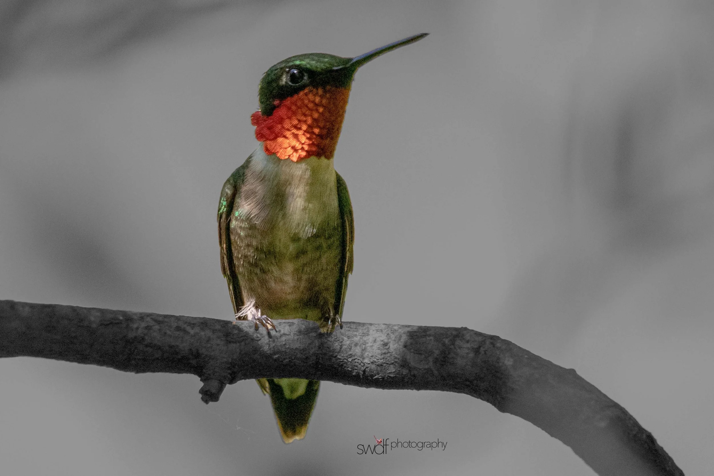 Image 6-11-19 at 20.24.jpeg