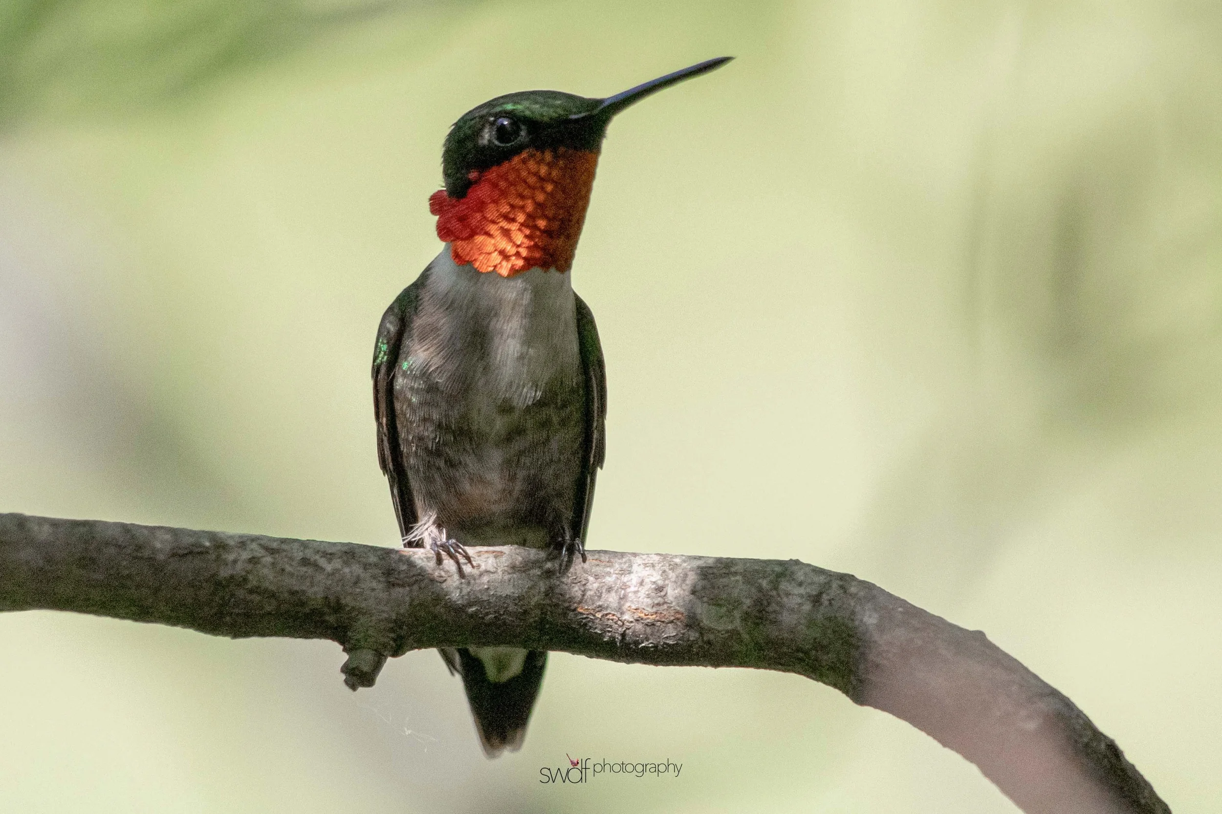 Image 6-11-19 at 20.26.jpeg