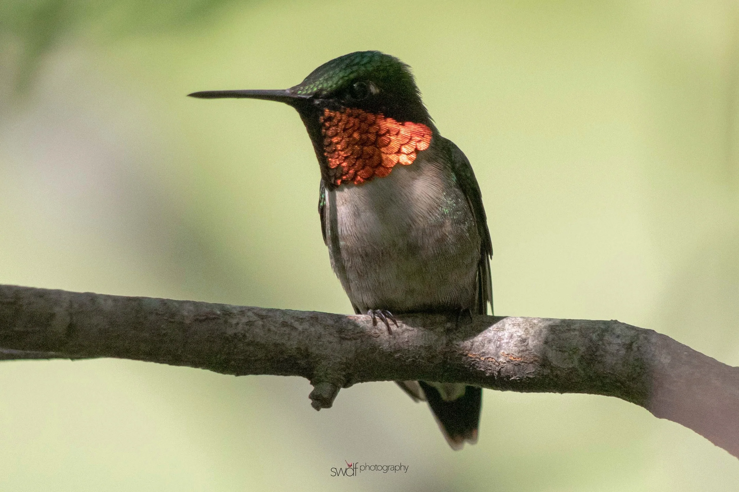 Image 6-11-19 at 20.30.jpeg