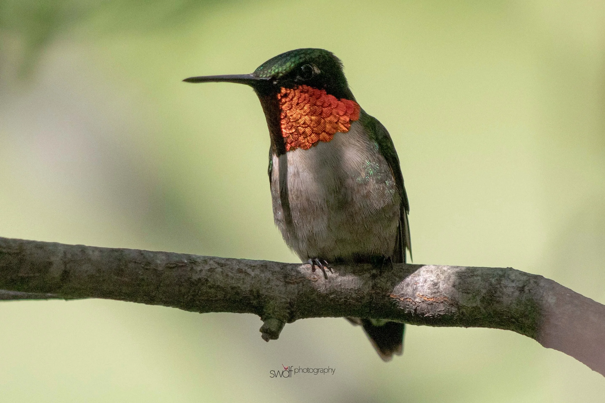 Image 6-11-19 at 20.33.jpeg