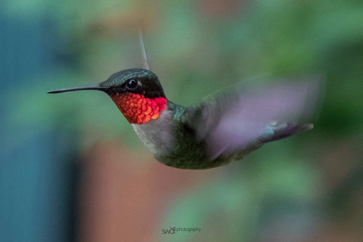 Image 6-12-19 at 22.46.jpeg