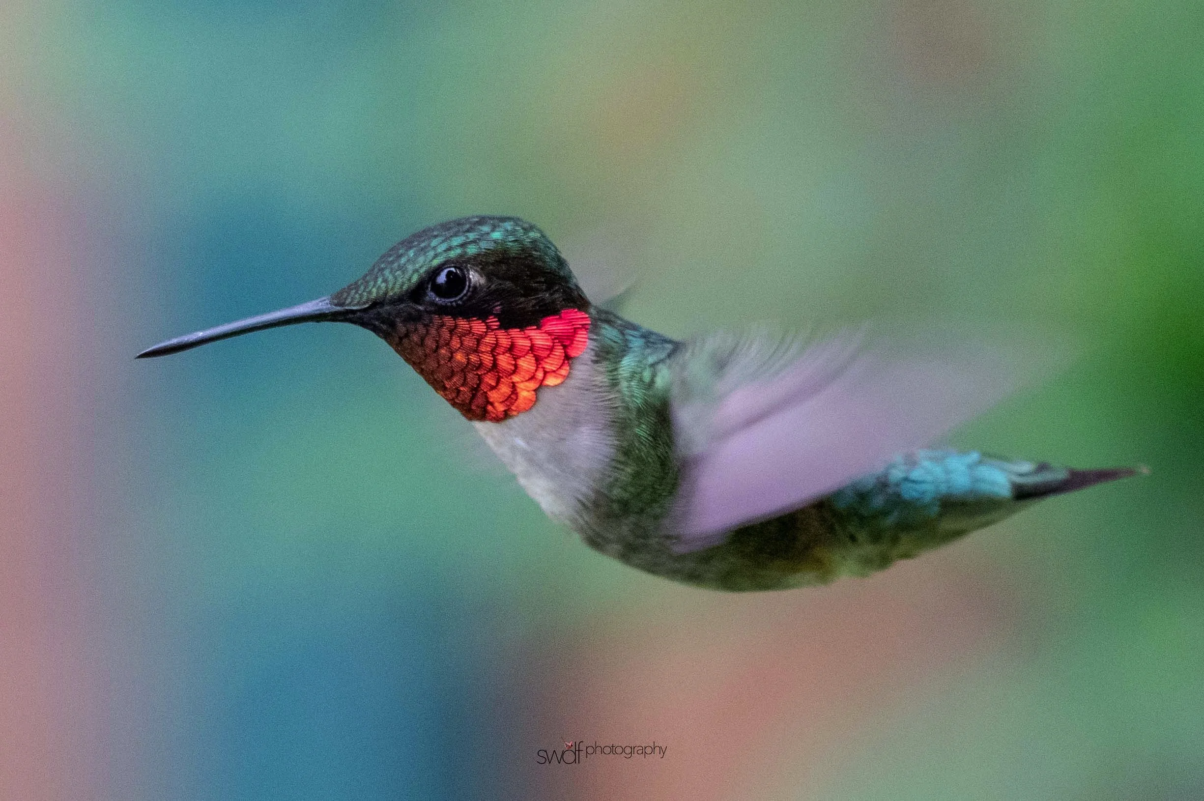 Image 6-12-19 at 22.58.jpeg