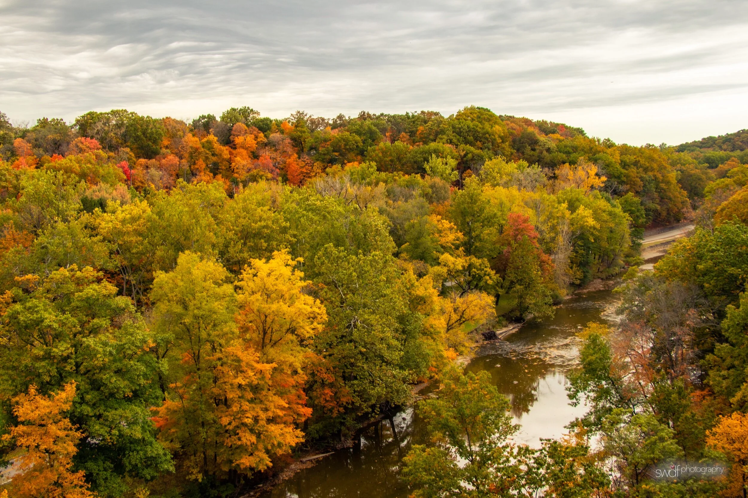 Rocky River Autumn Treetops.jpeg
