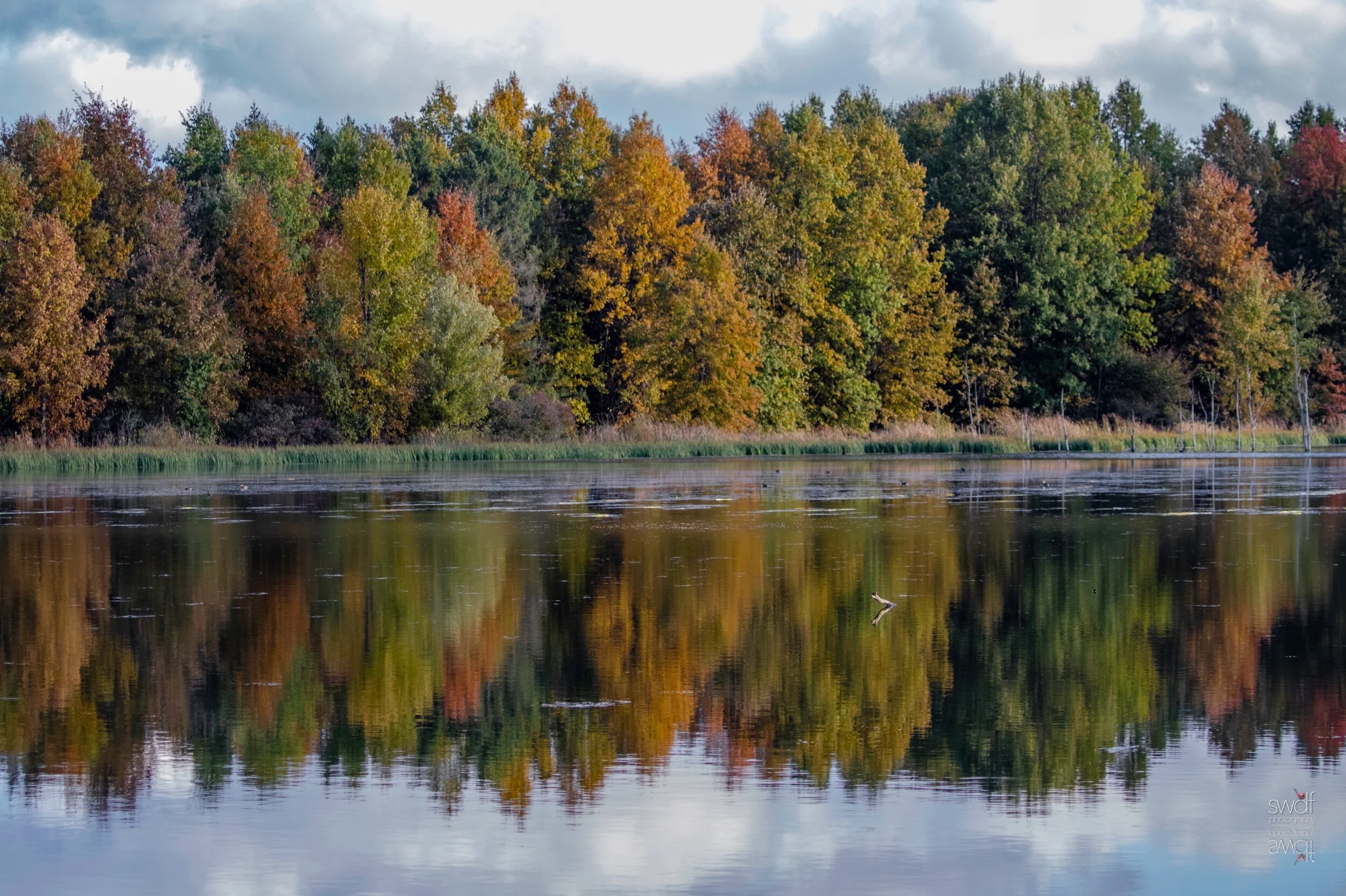 Autumn Reflections - Sandy Ridge.jpeg