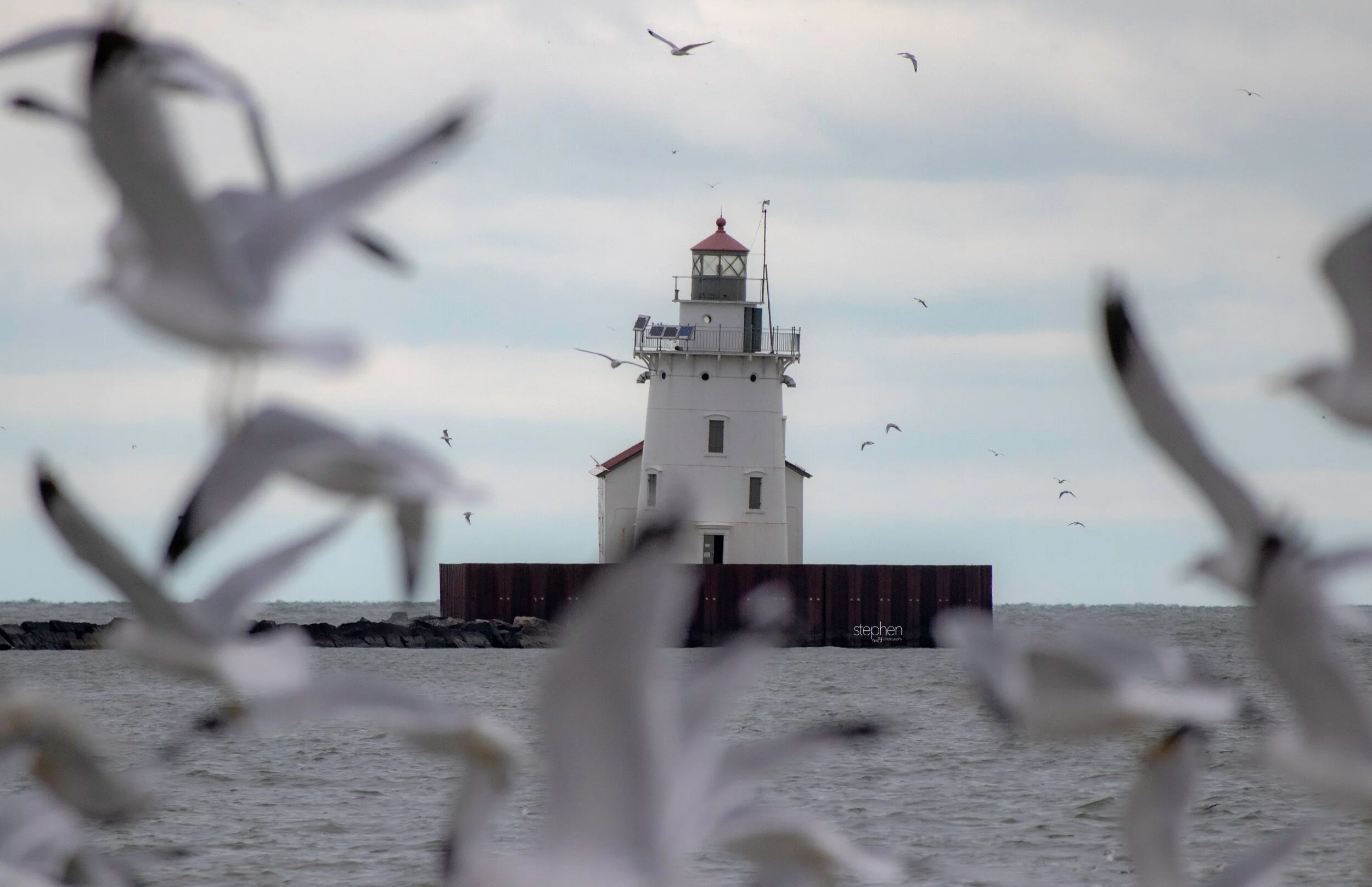 Lighthouse and Gulls4 - Wendy Park.jpeg