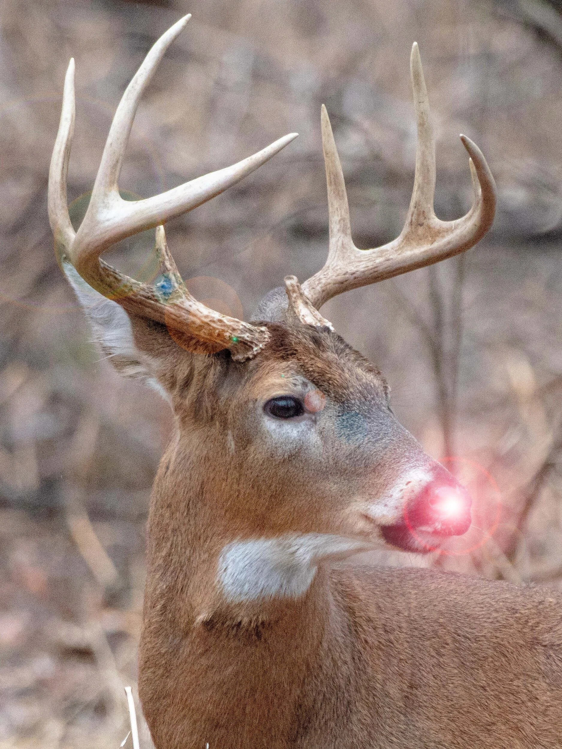 Image 1-4-21 at 20.15.jpeg