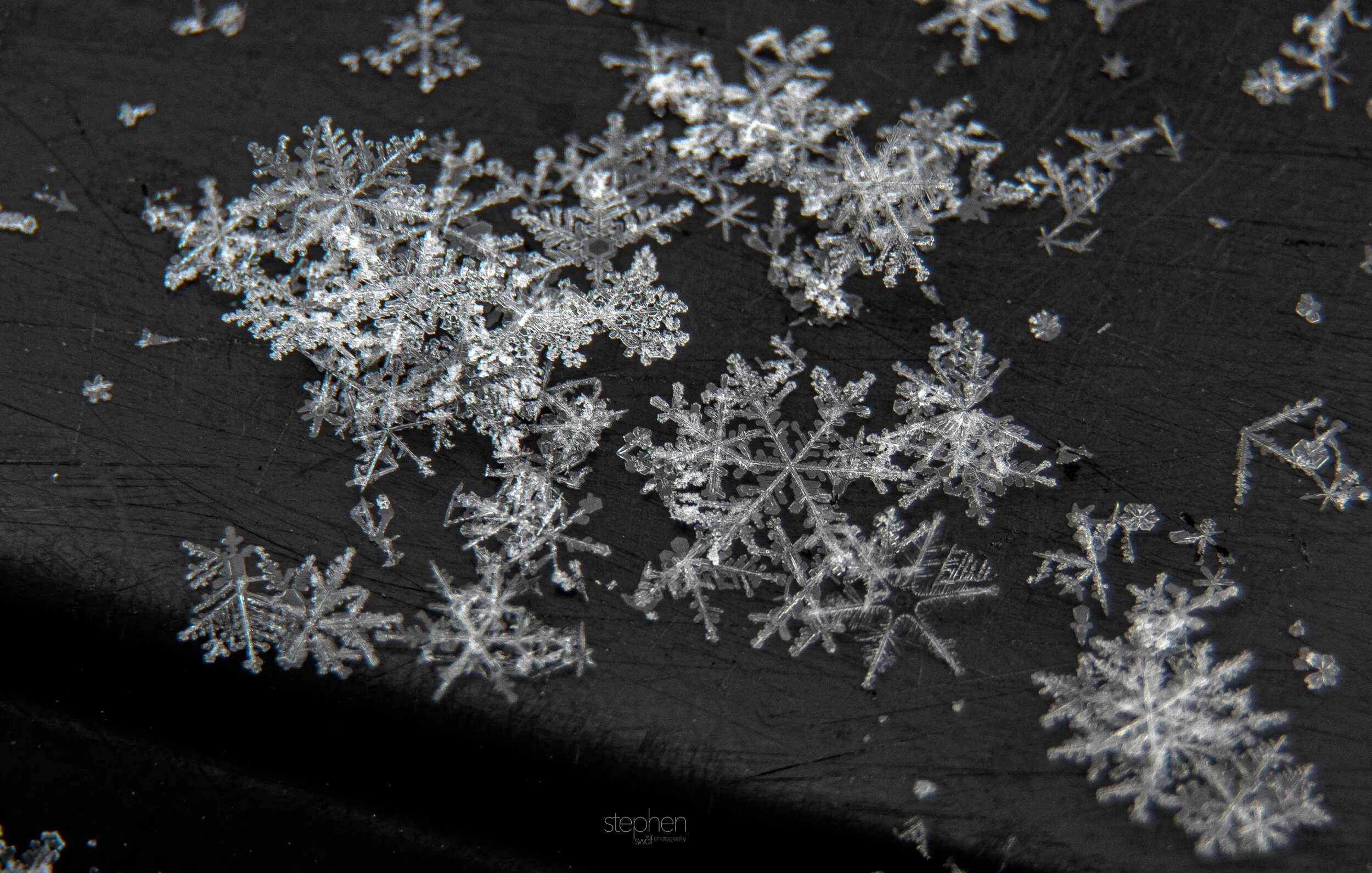 Snowflakes2.jpeg